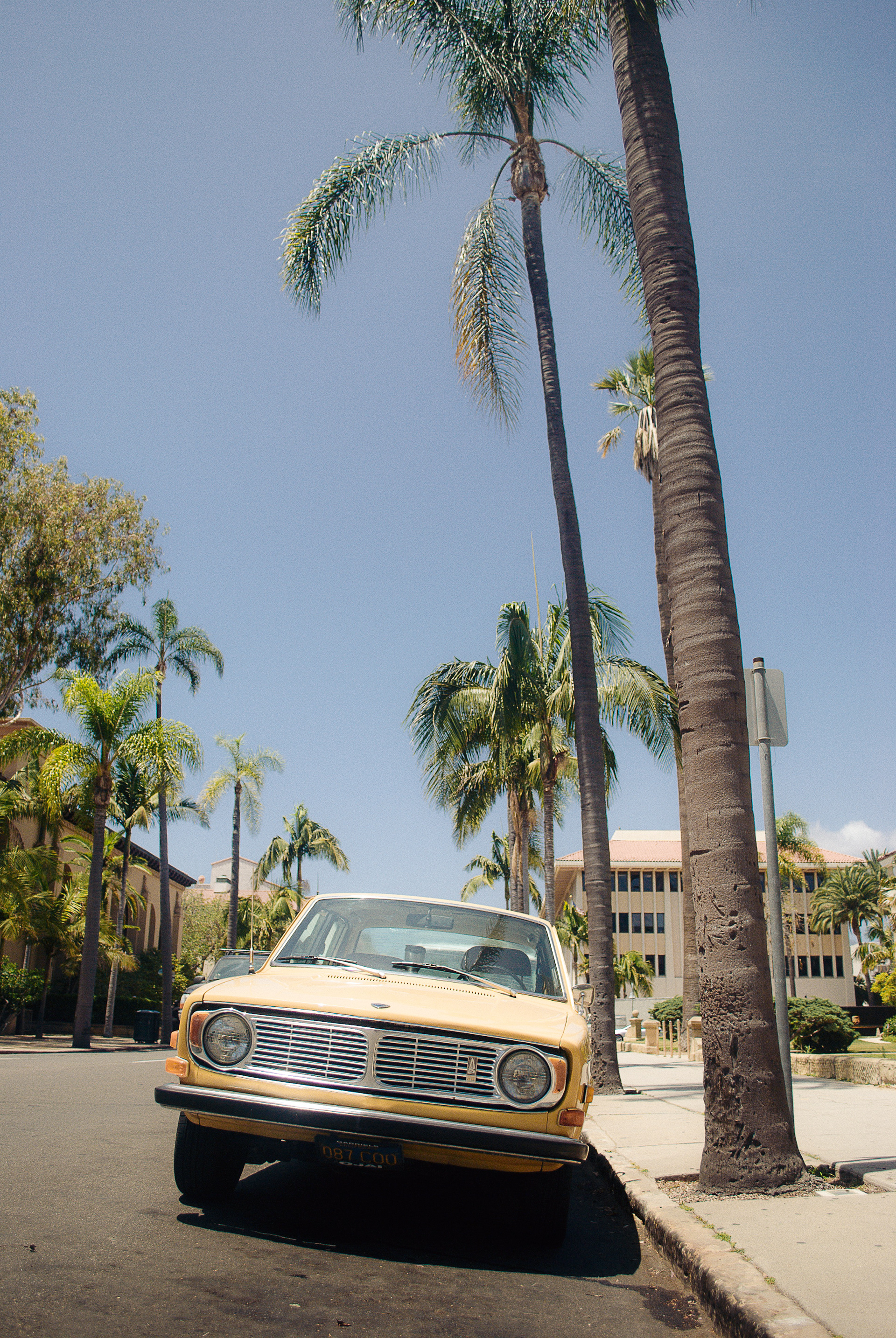 CALI LOVE