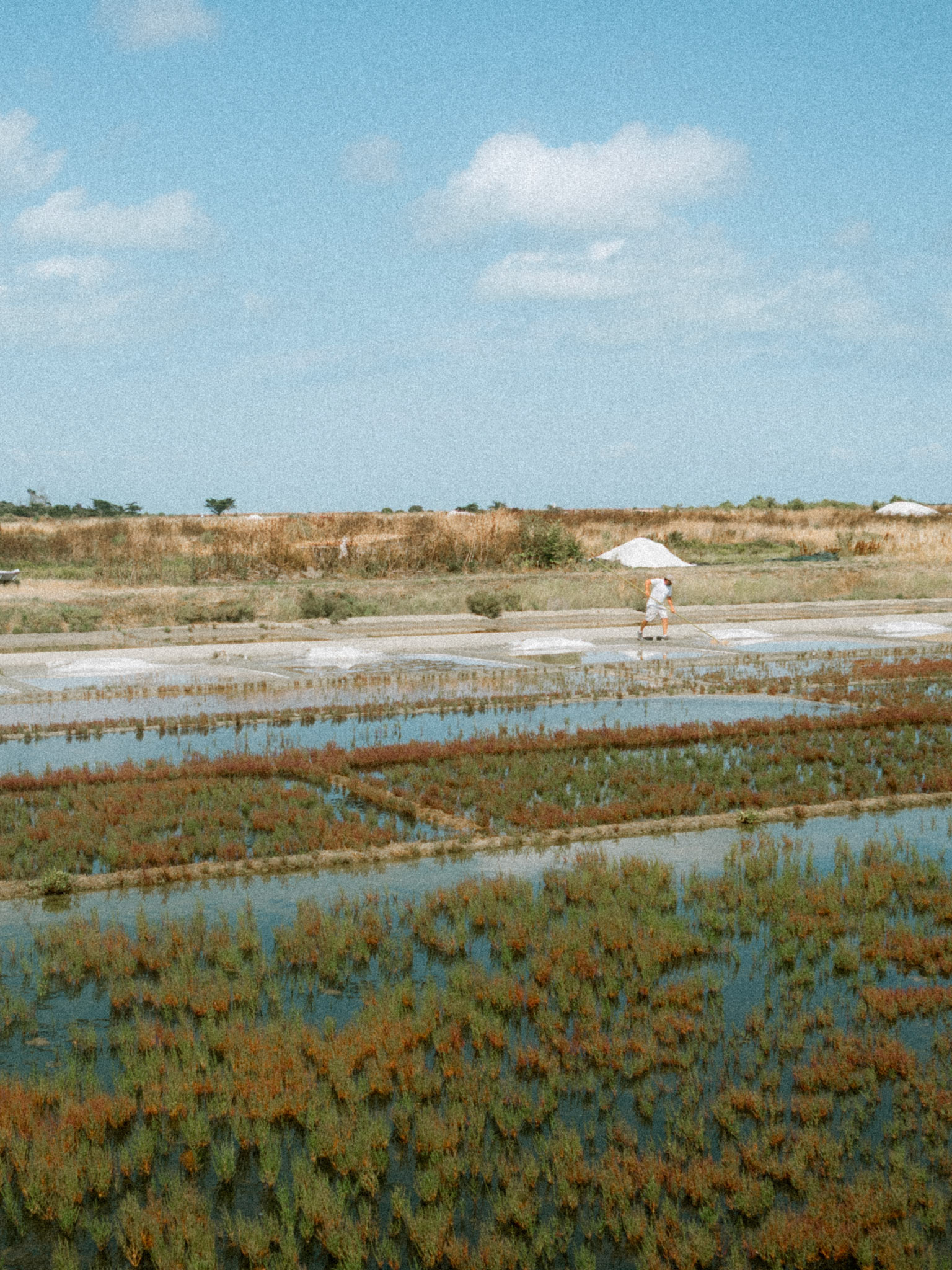 MARAIS SALANTS
