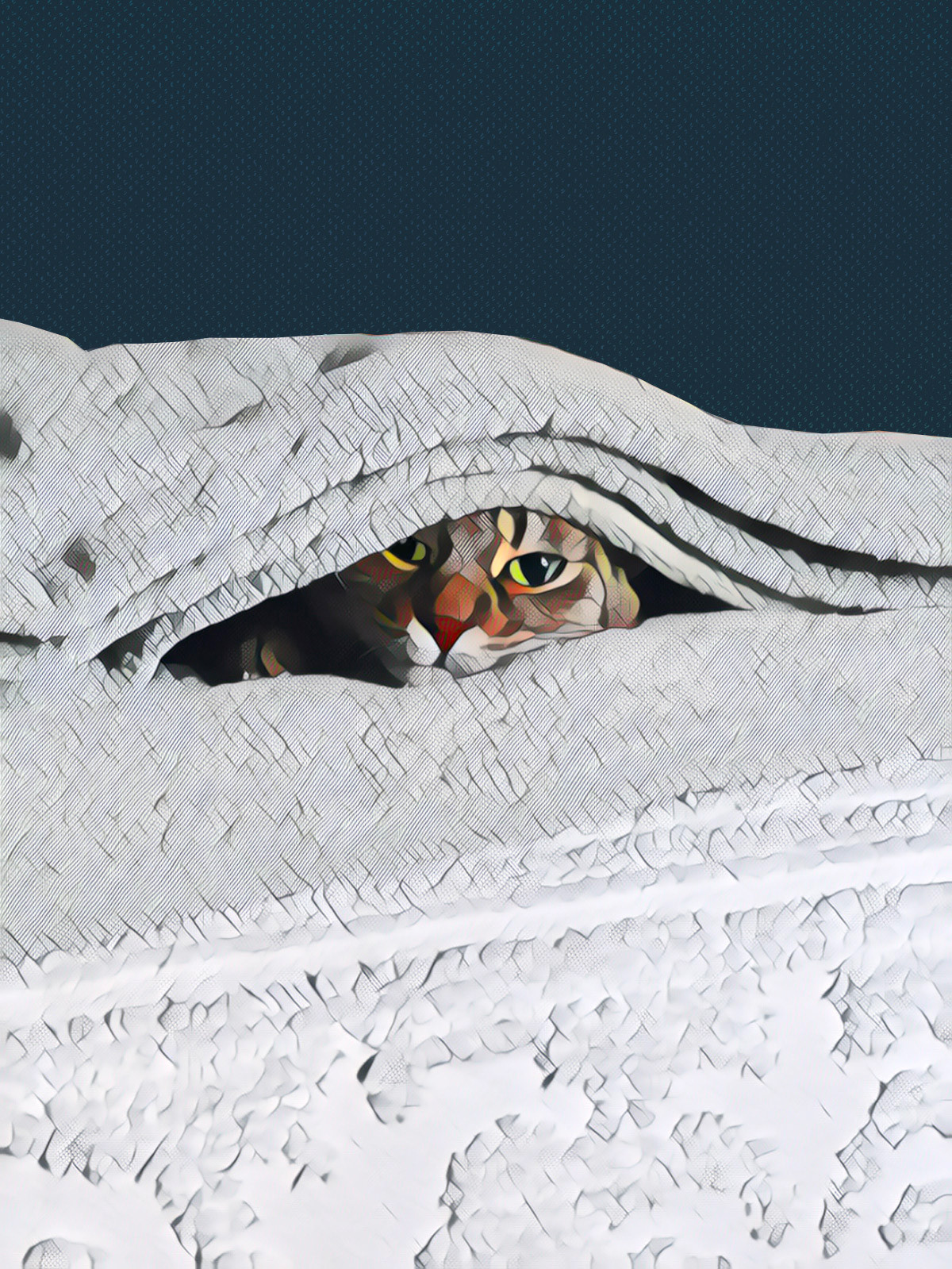 Snug as a boog