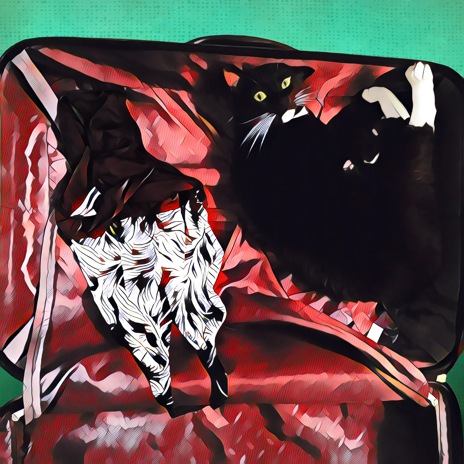 The Stowaway