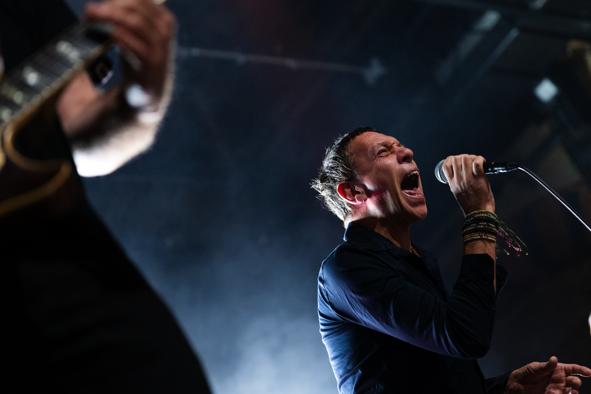 Shed Seven