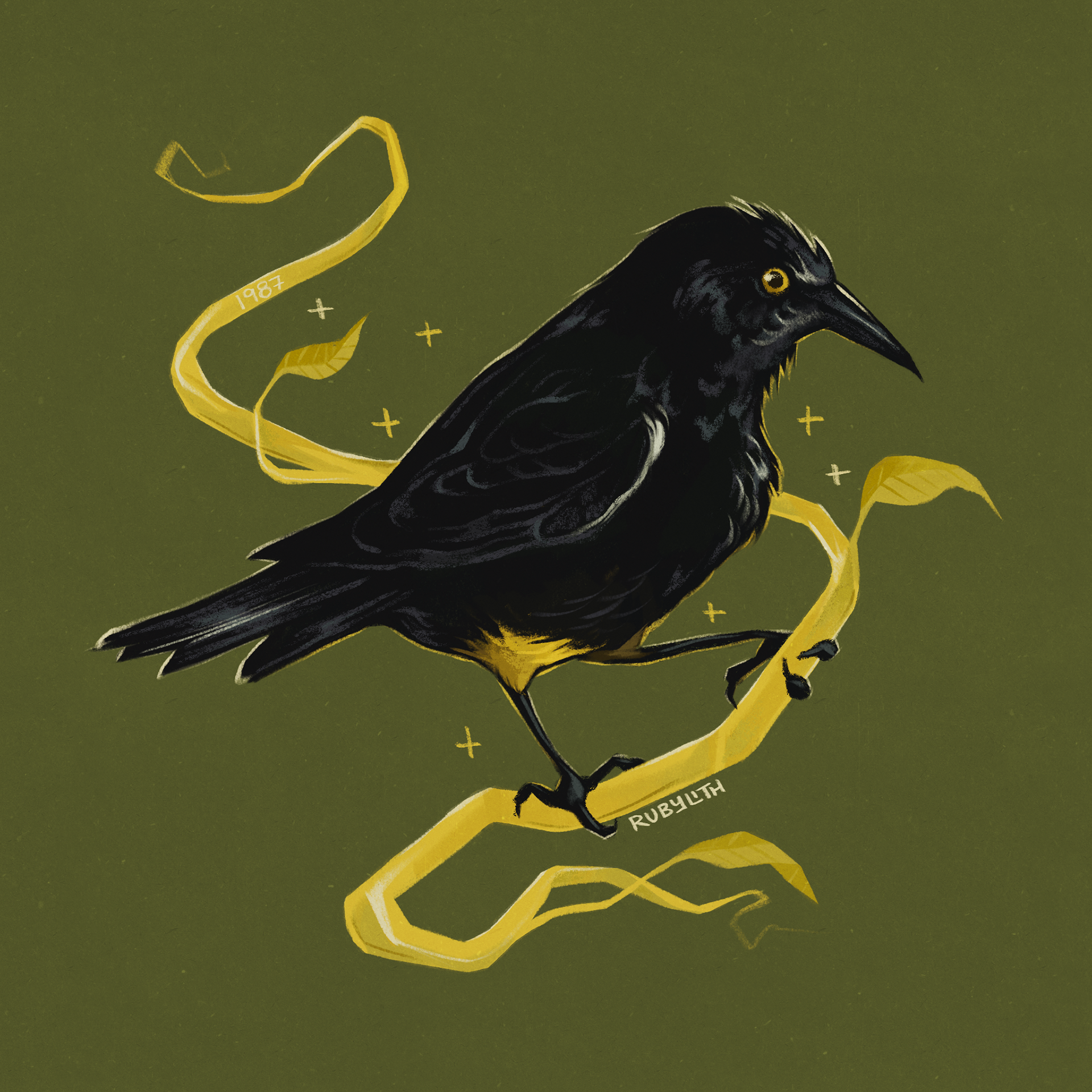 The Kauaʻi ʻōʻō, or ʻōʻōʻāʻā (Moho braccatus) was last observed in 1987, and was declared extinct in 2023. It was the last extant member of the Mohoidae family of birds. The introduction of invasive predators, avian malaria, multiple bad hurricanes, and habitat loss led to its extinction. In 1987 a final recording of a lone male calling out was made, never to find a mate. 