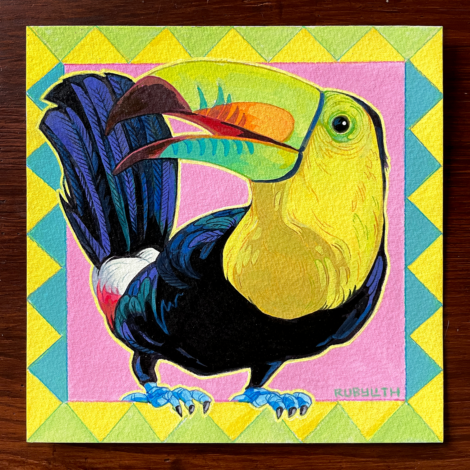 Keel-billed Toucan
