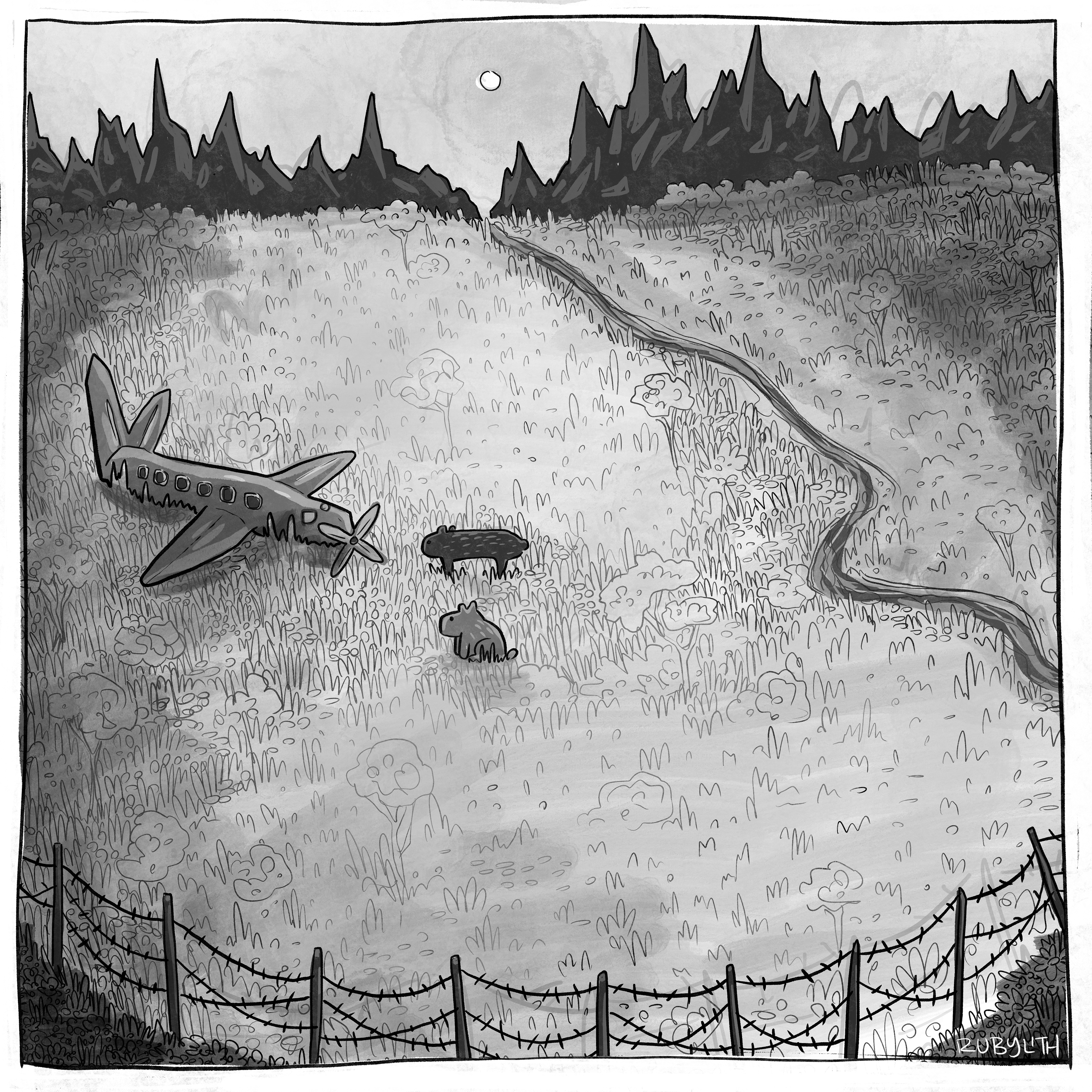 17. Field