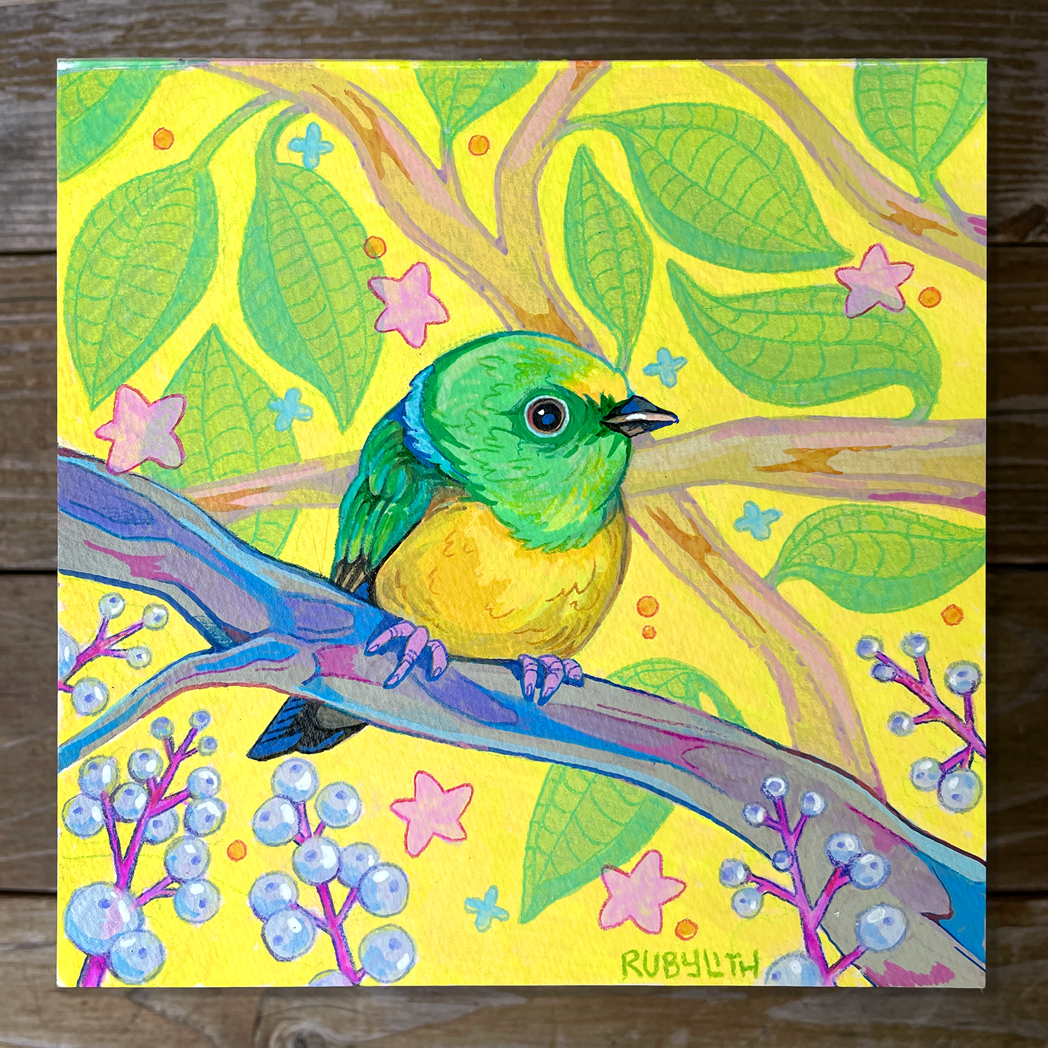Blue-naped Chlorophonia