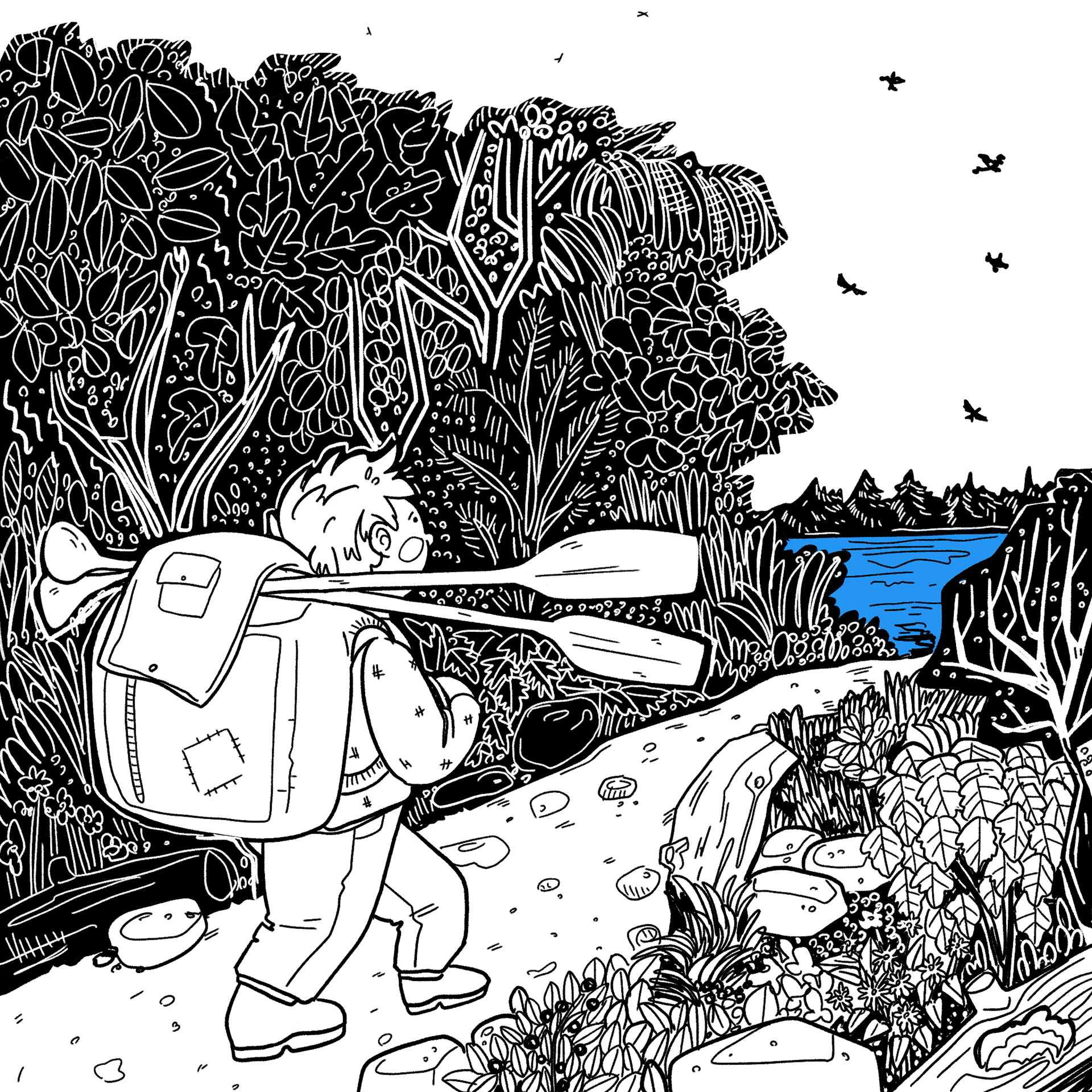 17. Wander