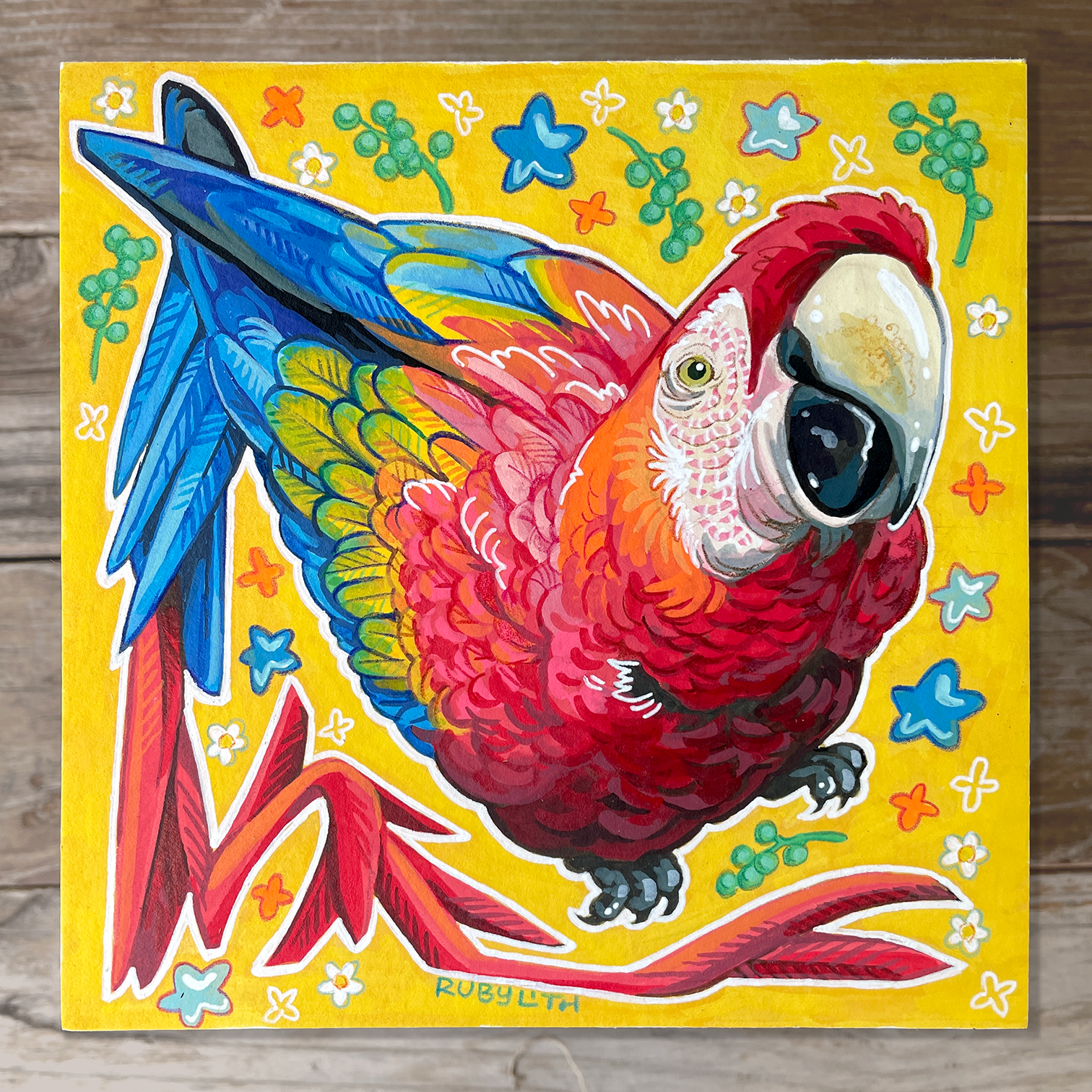 Scarlet Macaw