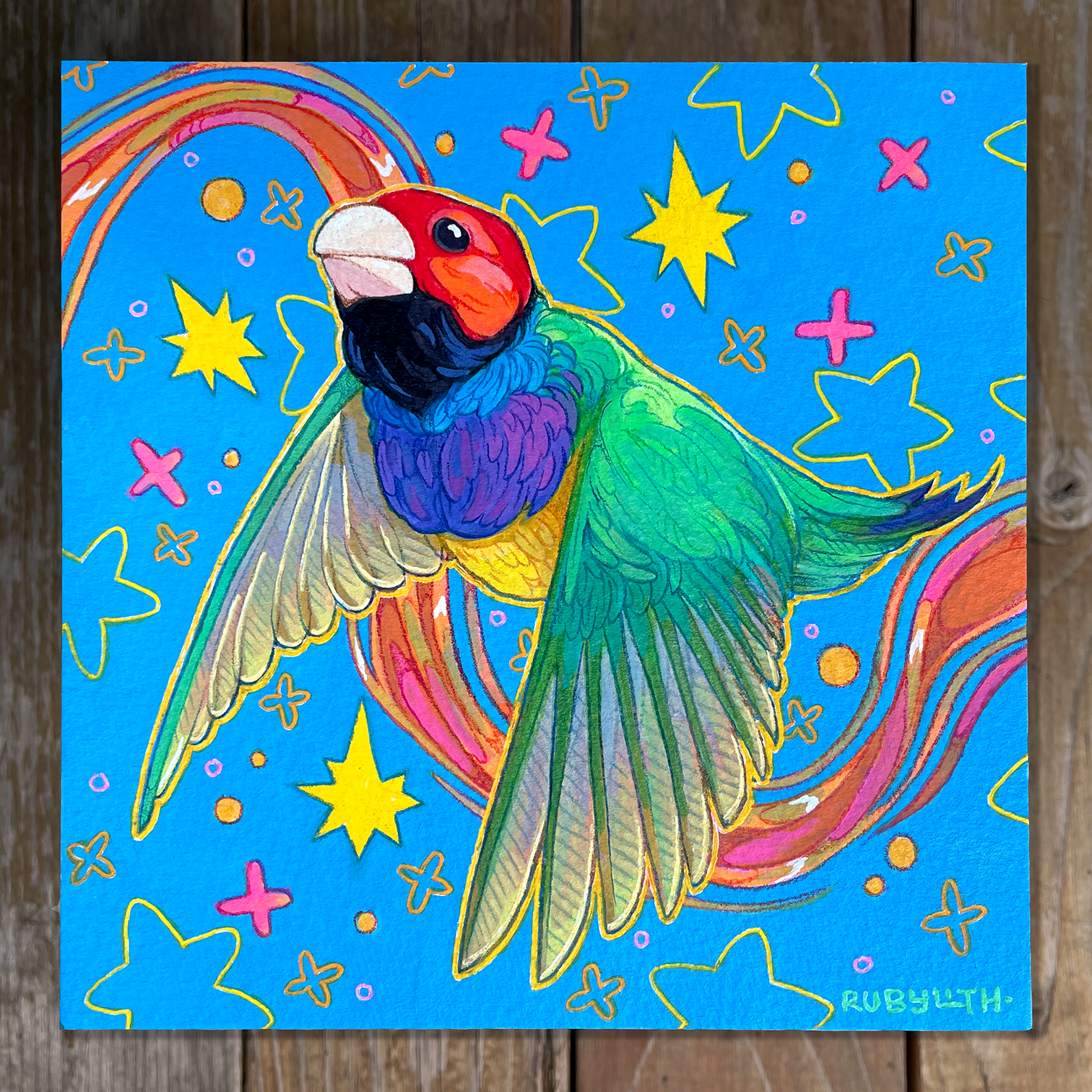 Gouldian Finch