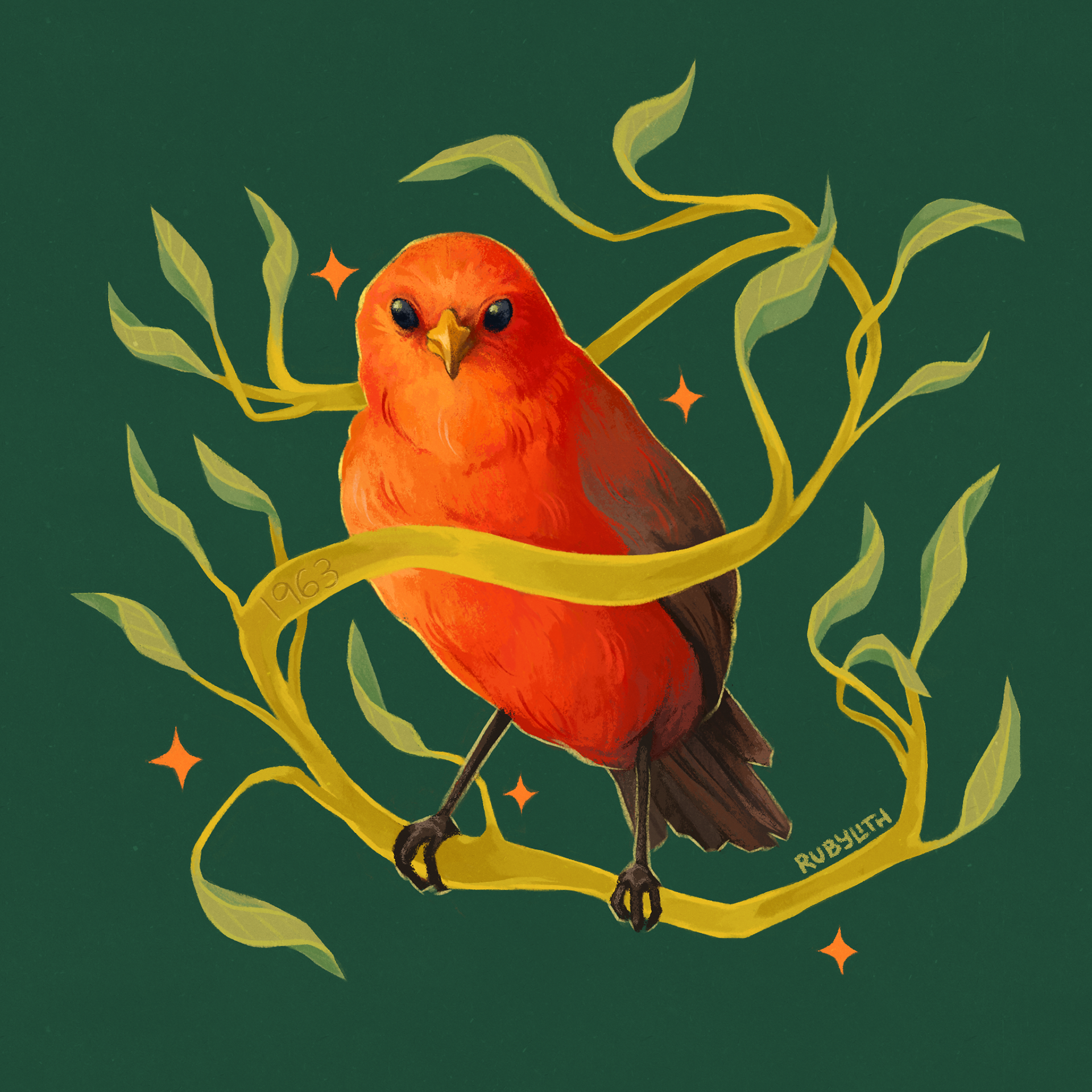The Kākāwahie (Paroreomyza flammea) was last seen in 1963, and declared extinct in 2023. It was a species of Hawaiian Honeycreeper found on Molokaʻi, known for the male birds' bright red feathers. Like many Honeycreepers, their populations declined due to a combination of avian malaria and habitat loss. 
