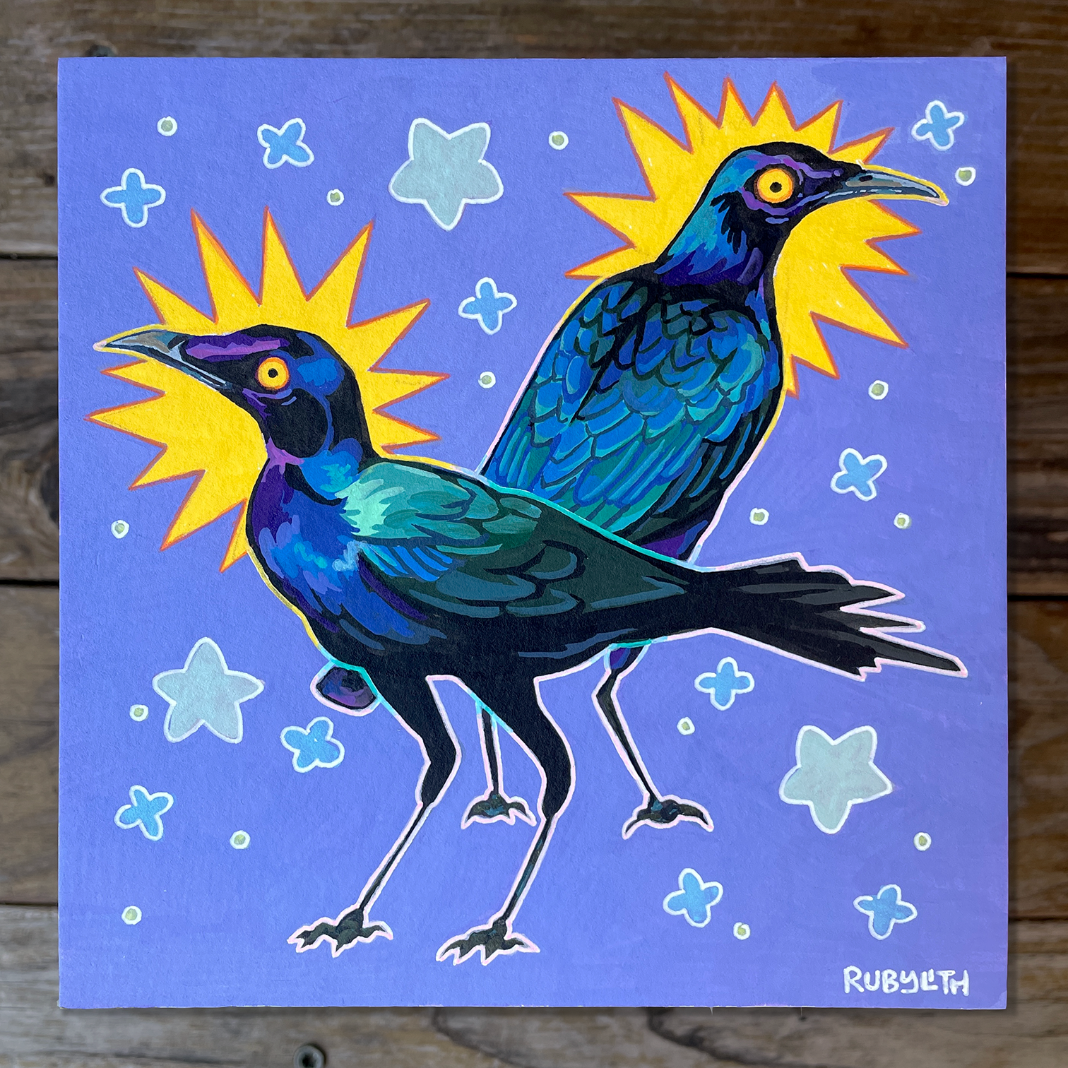 Purple Glossy Starling