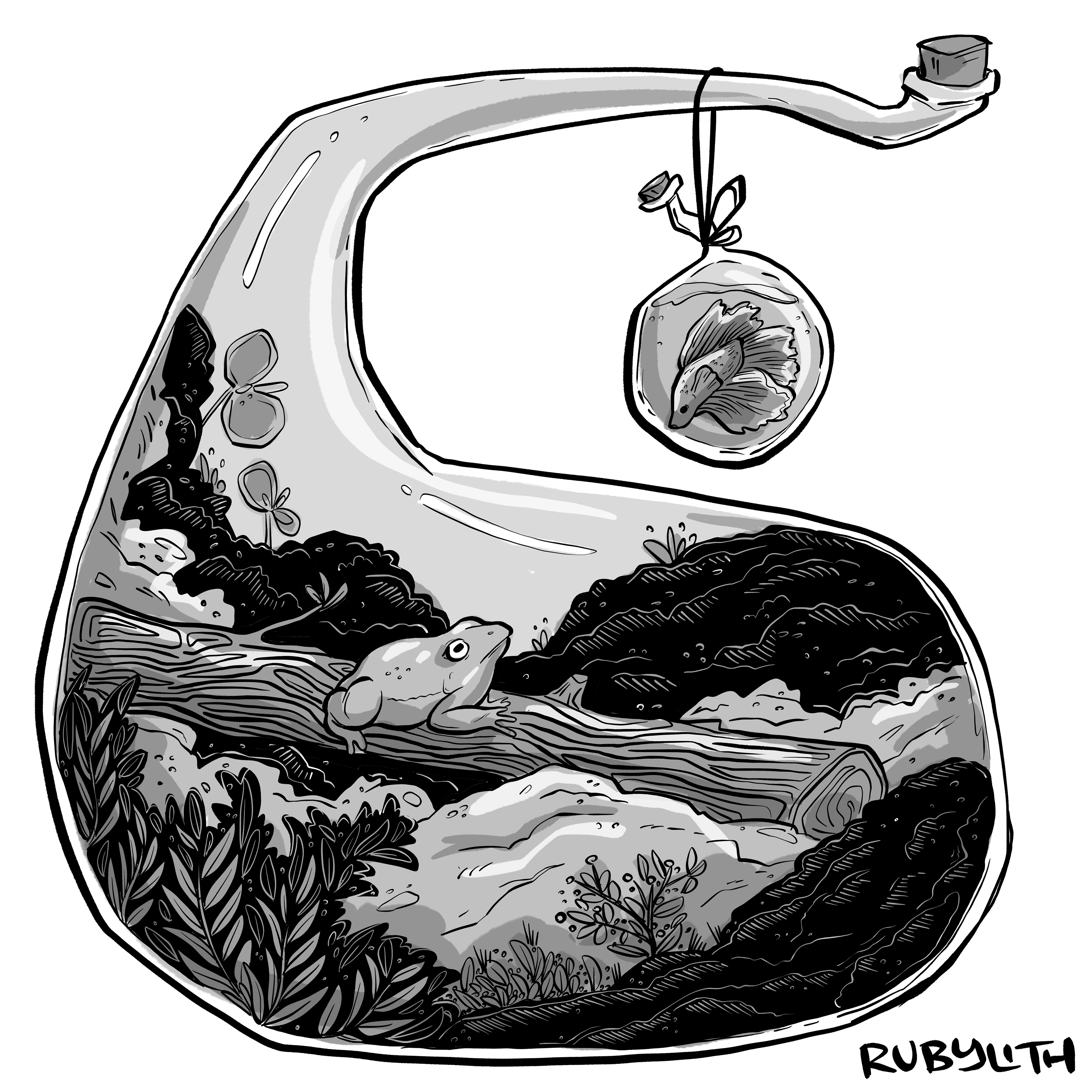 31. Habitat