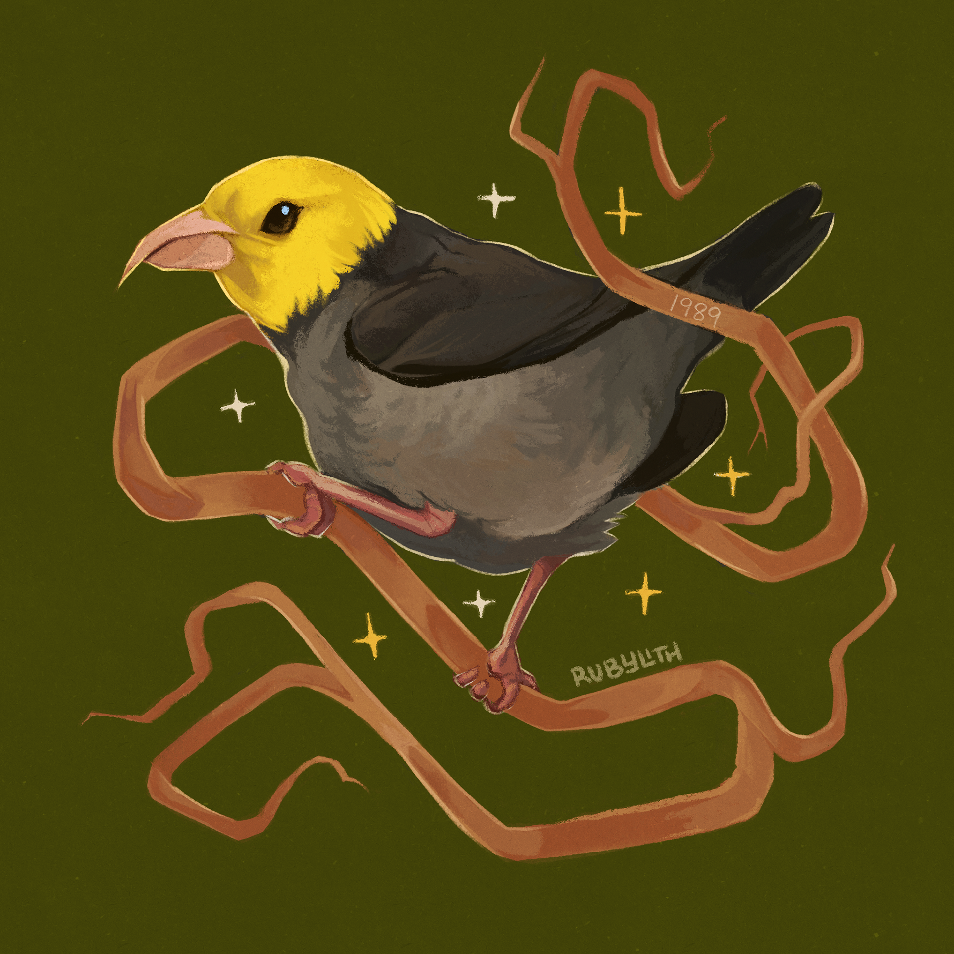 The ʻŌʻū (Psittirostra psittacea) was a Hawaiian Honeycreeper that was endemic to the Hawaiian islands. It was last spotted in 1989, and was declared extinct in 2024. Like many Honeycreepers, their populations declined due to a combination of avian malaria and habitat loss. 