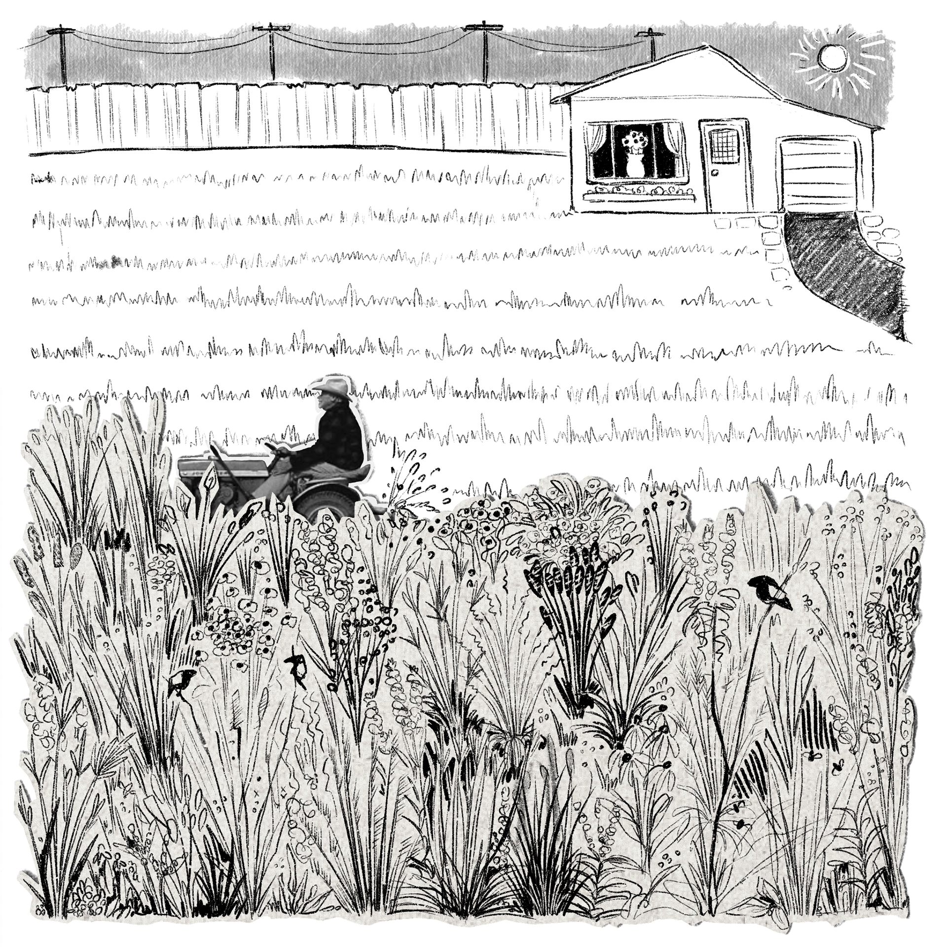 9. Grass