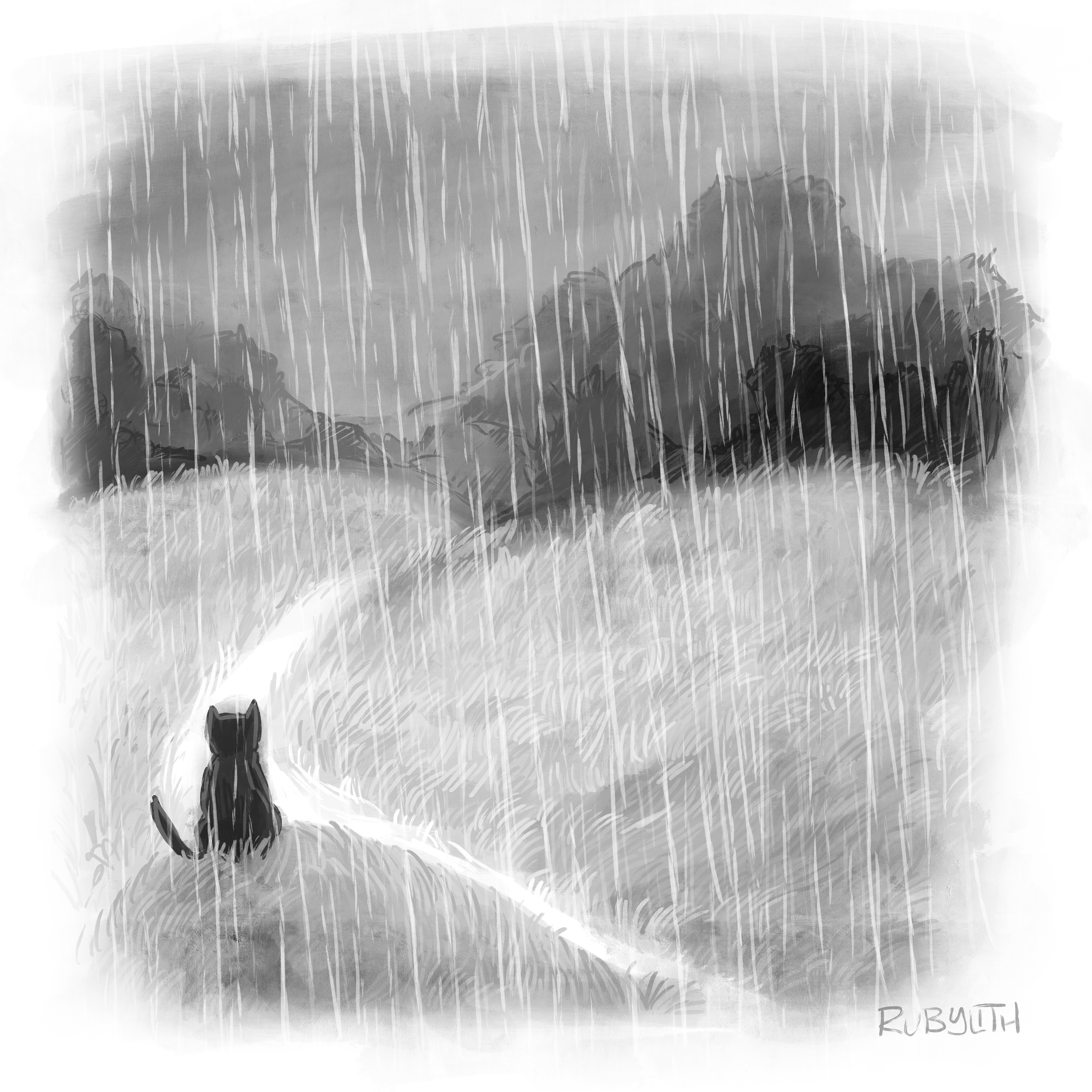 23. Rain