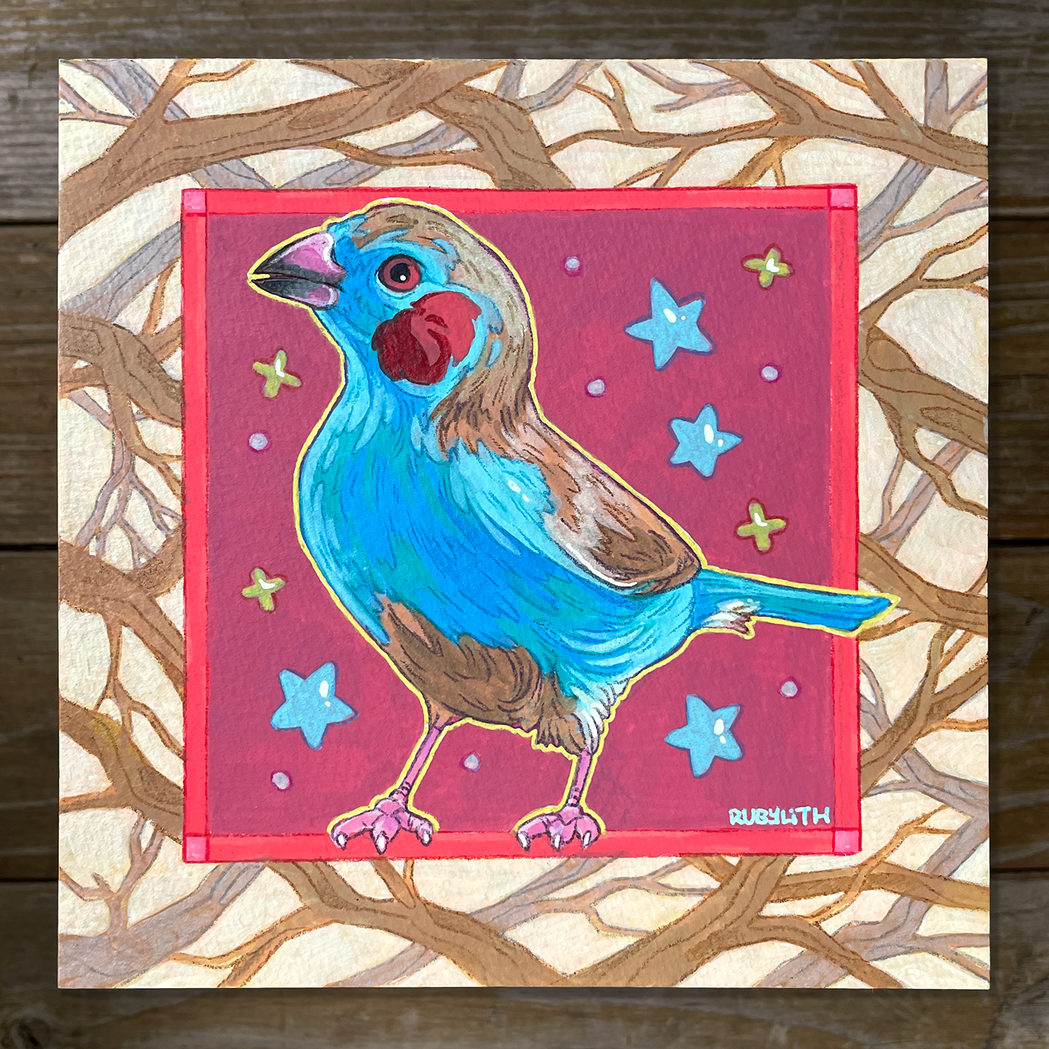 Red-cheeked Cordon-bleu