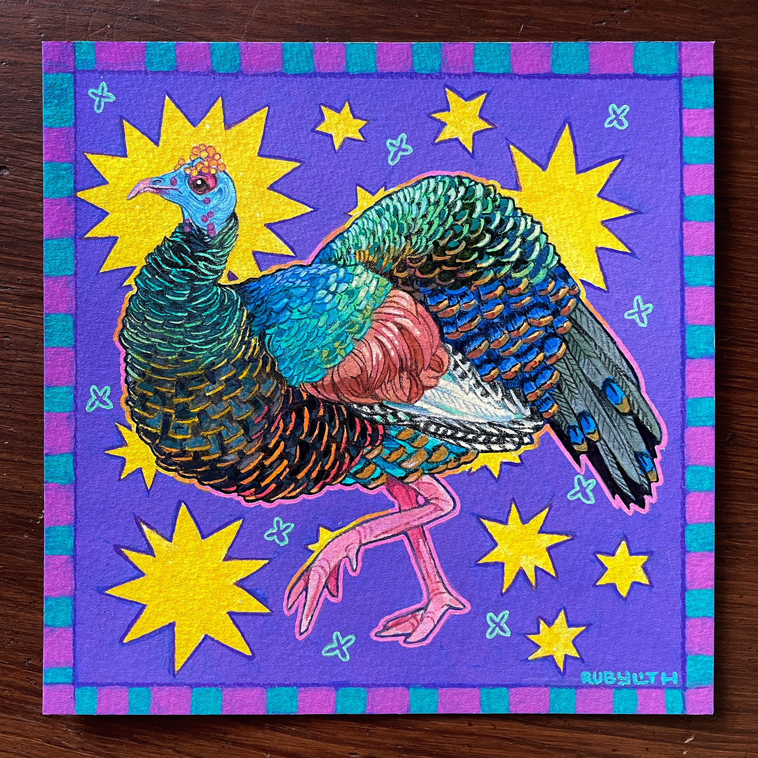 Ocellated Turkey