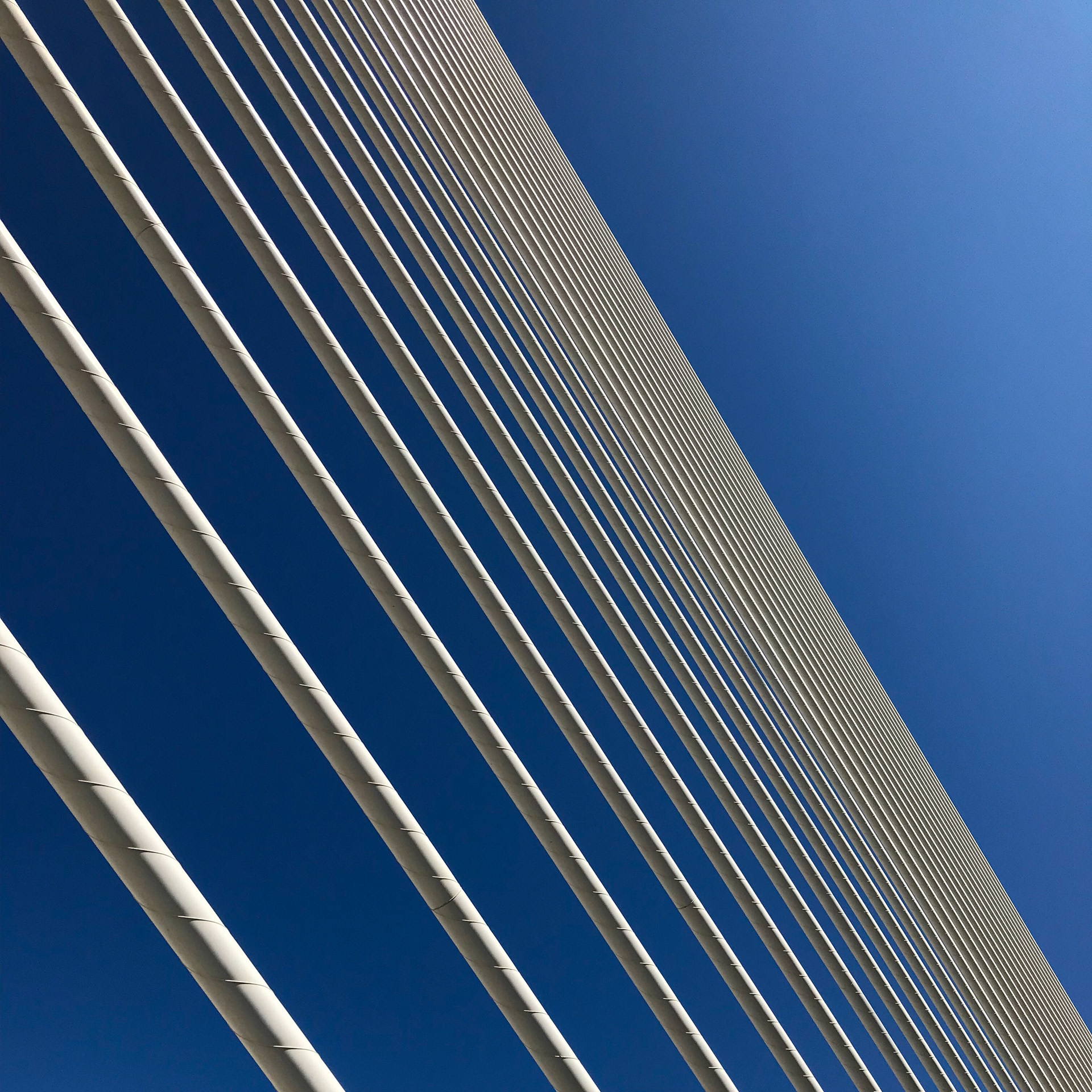 The Assut de l'Or Bridge, Valencia, Spain.