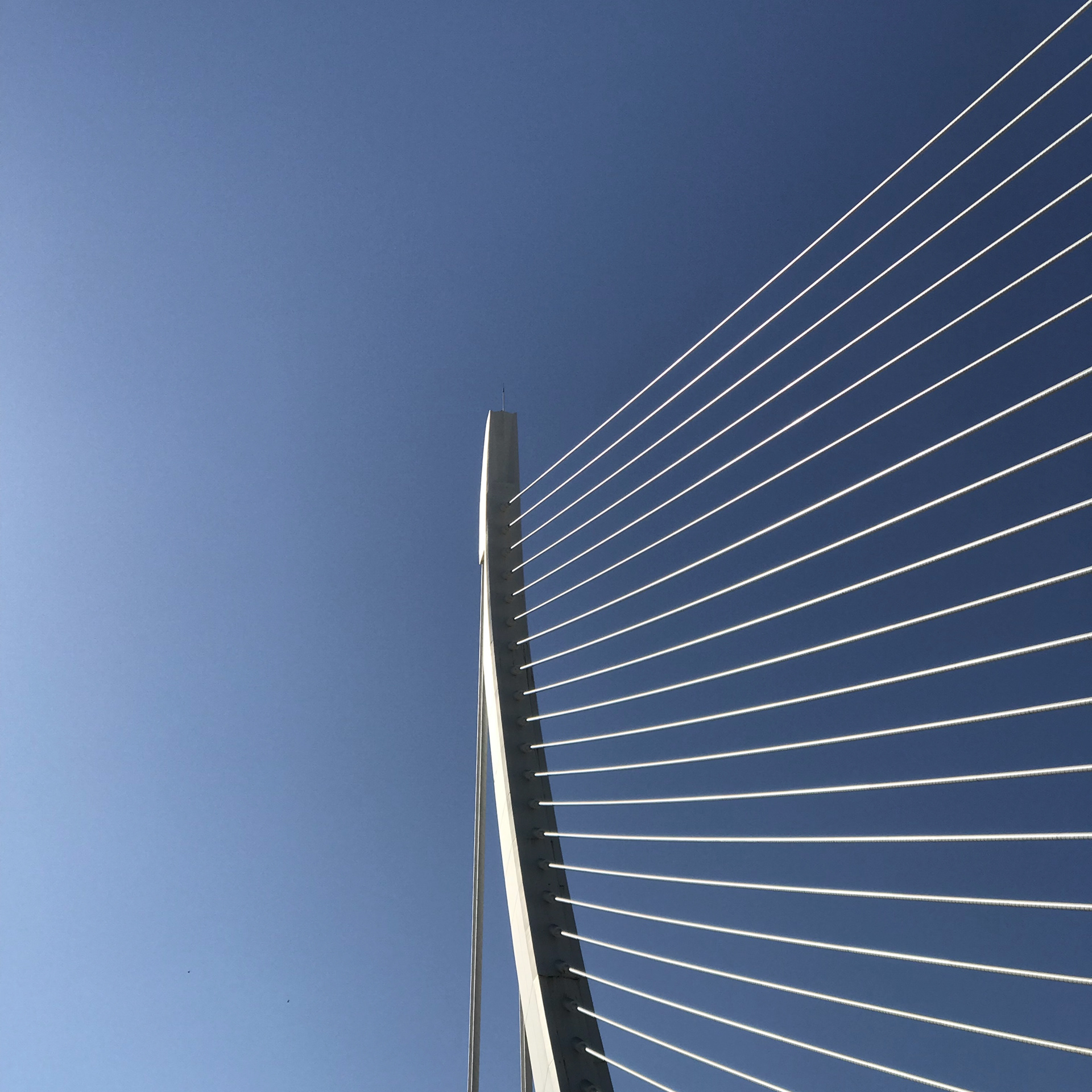 The Assut de l'Or Bridge, Valencia, Spain.