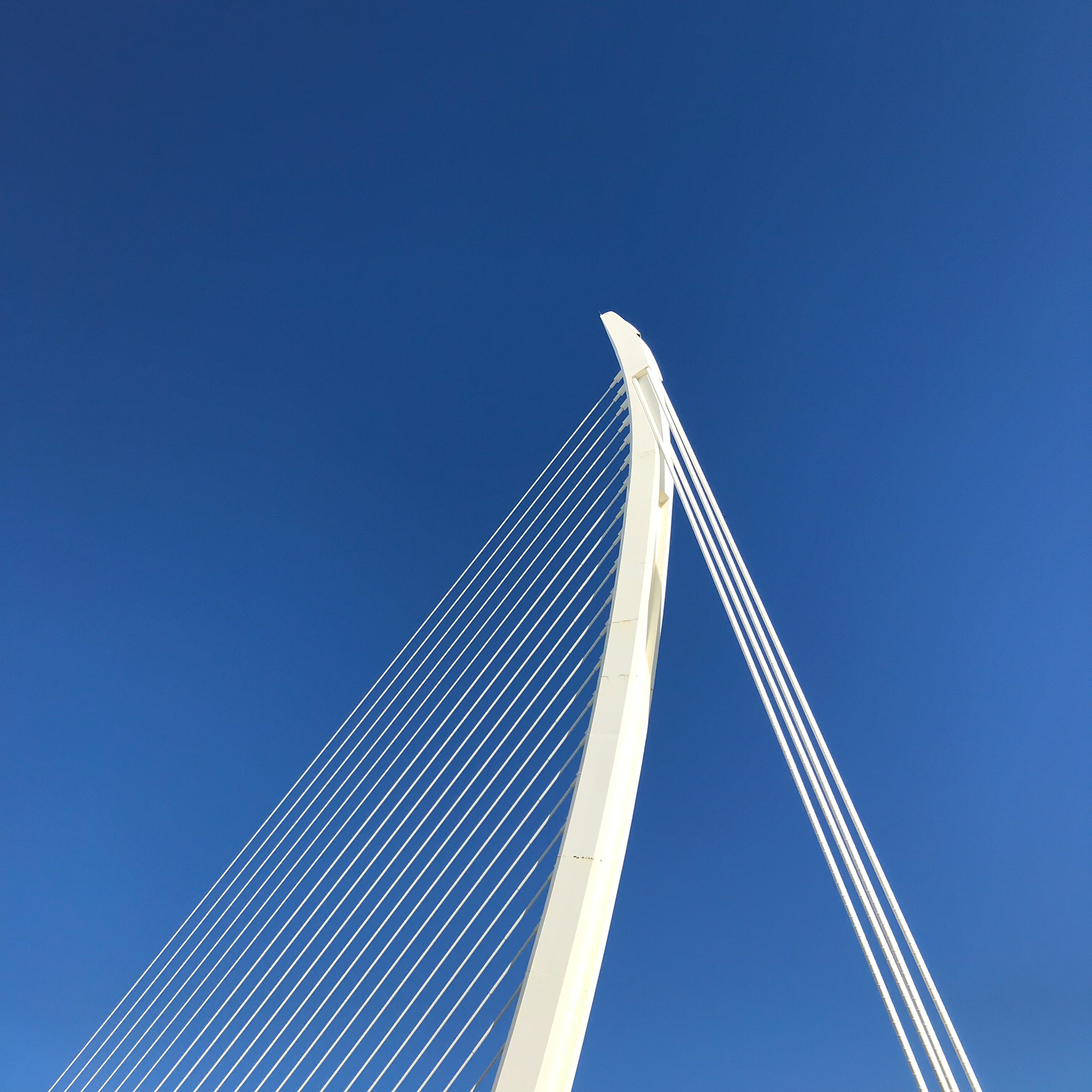 The Assut de l'Or Bridge, Valencia, Spain.
