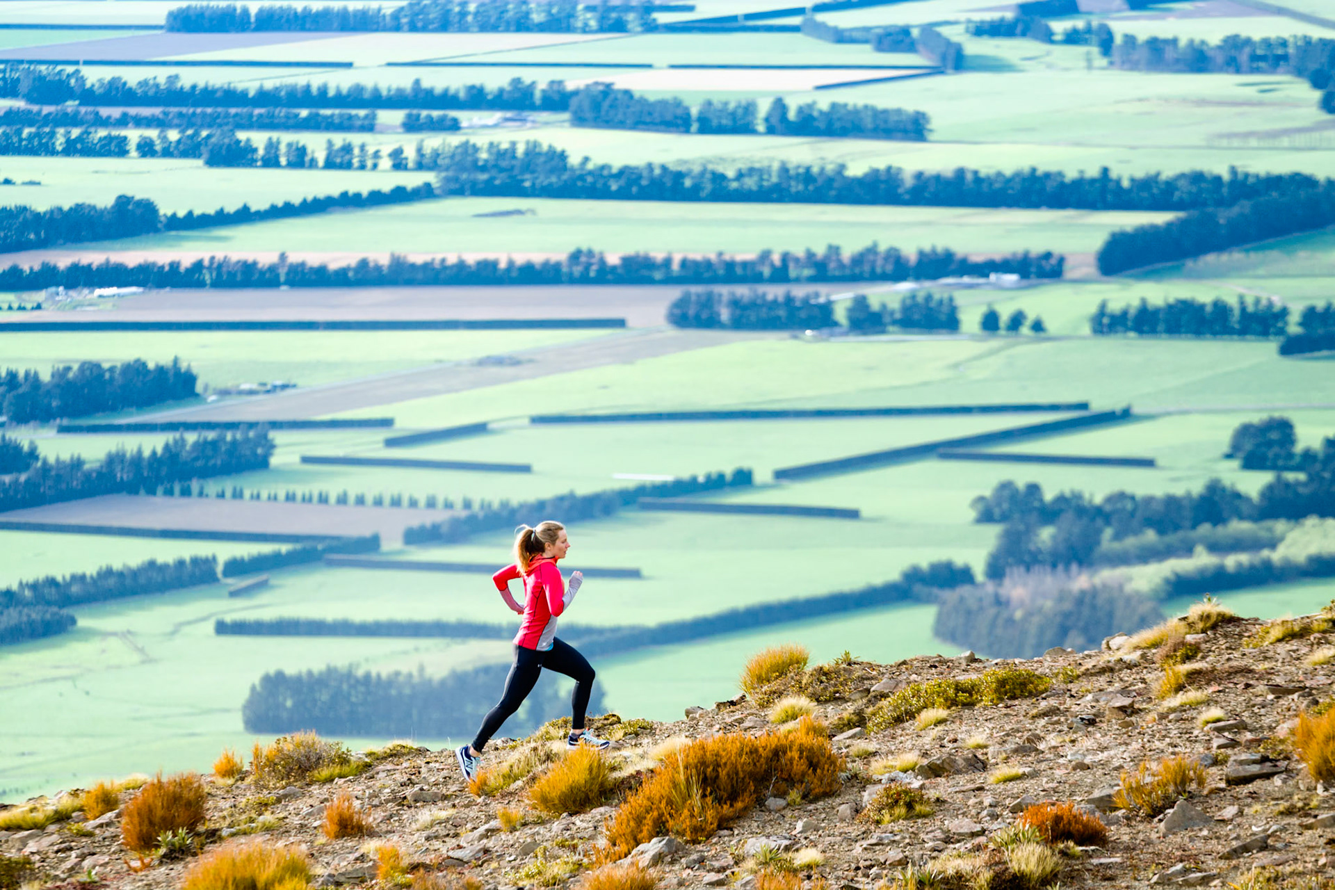 Hilary, Mt Hutt, 2016