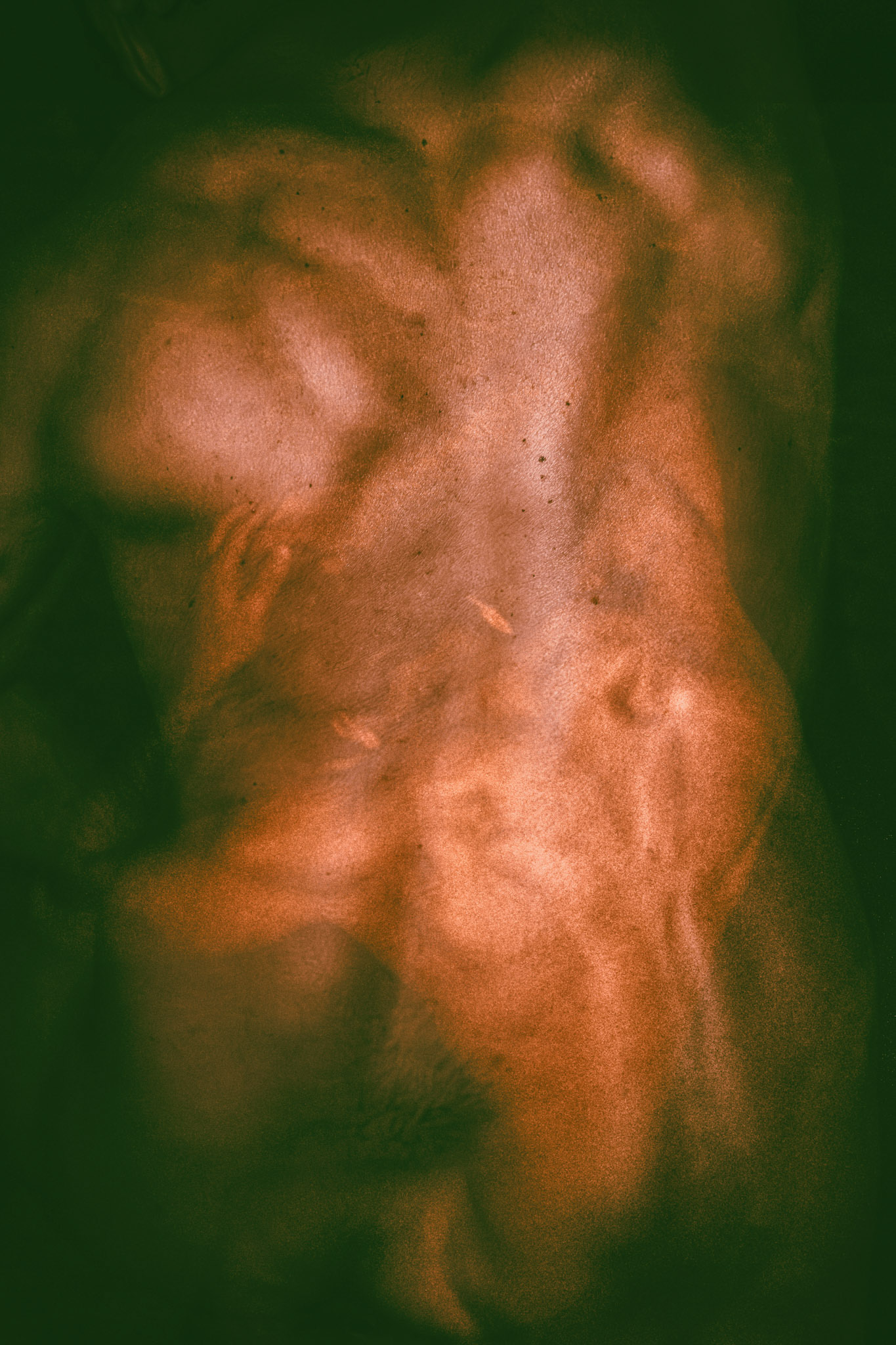 Im Rücken des Lichts