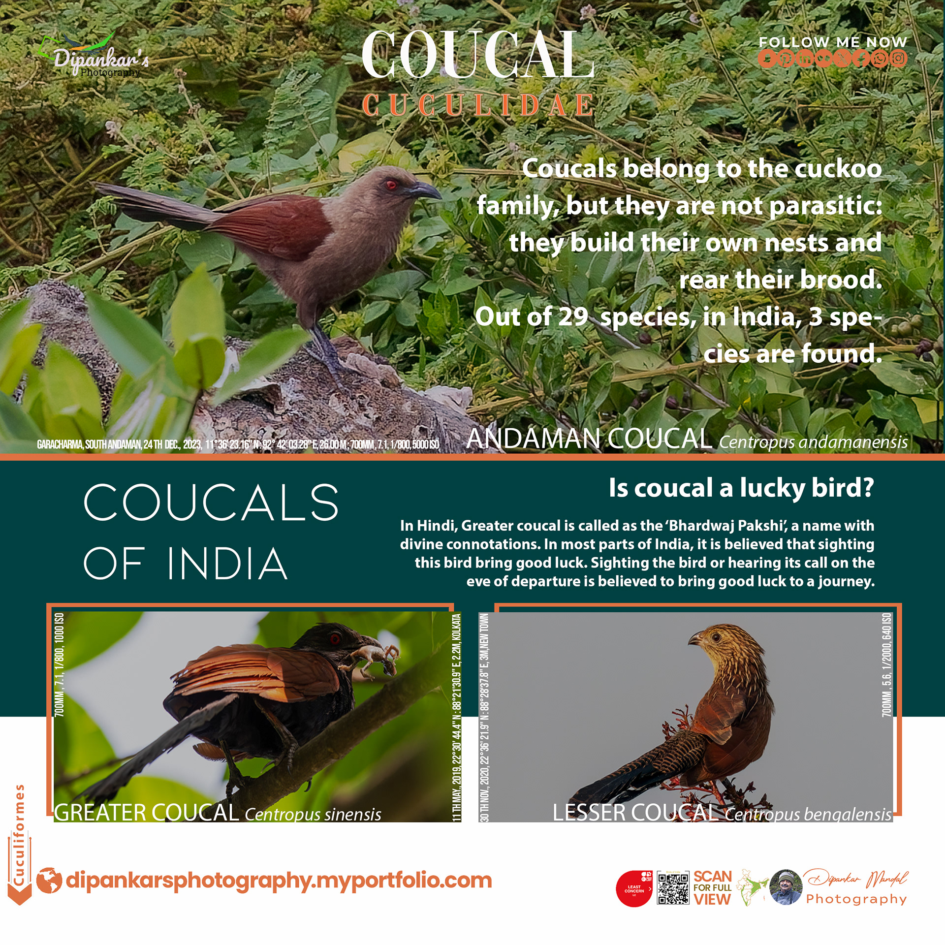 Caucal