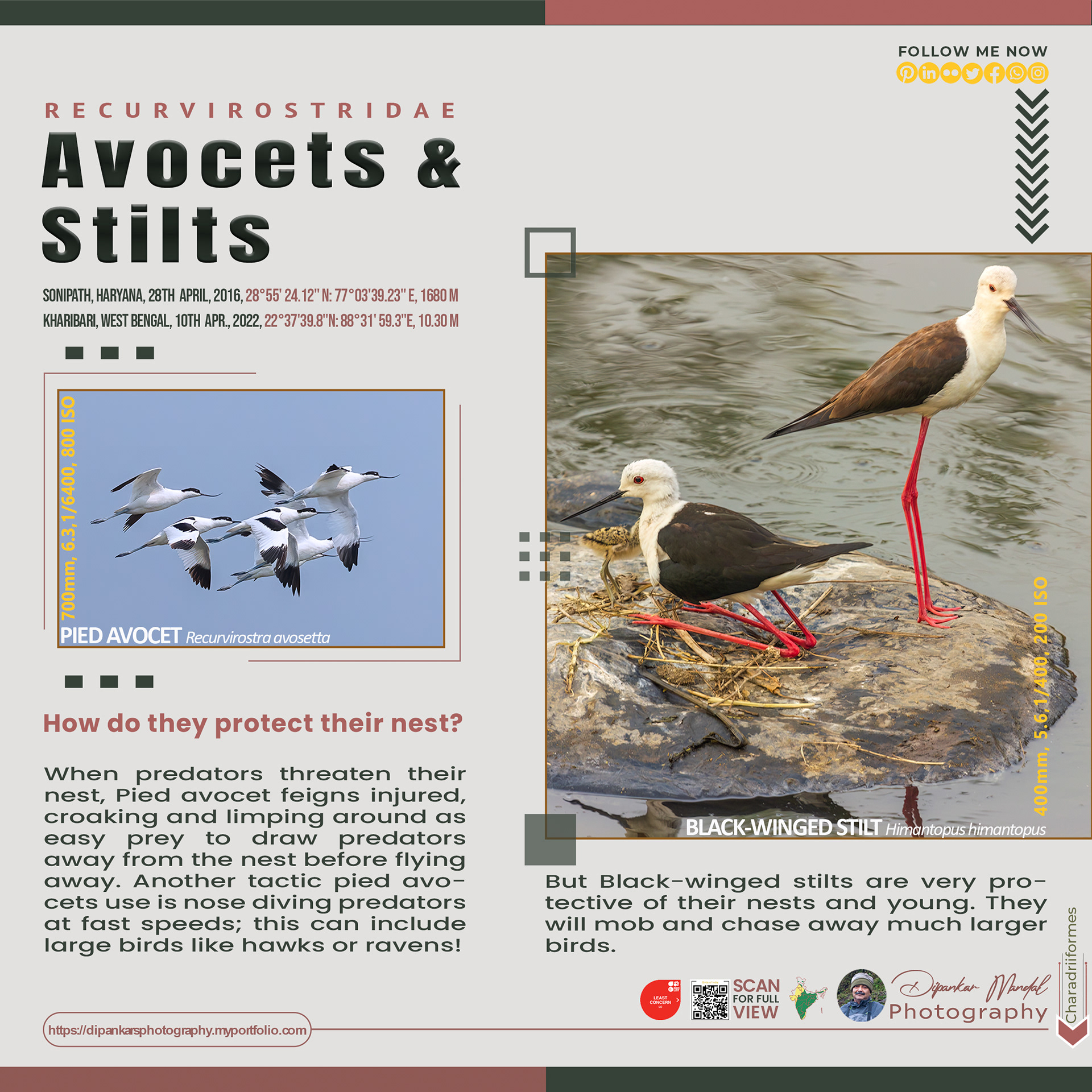 Aovocet_stilt