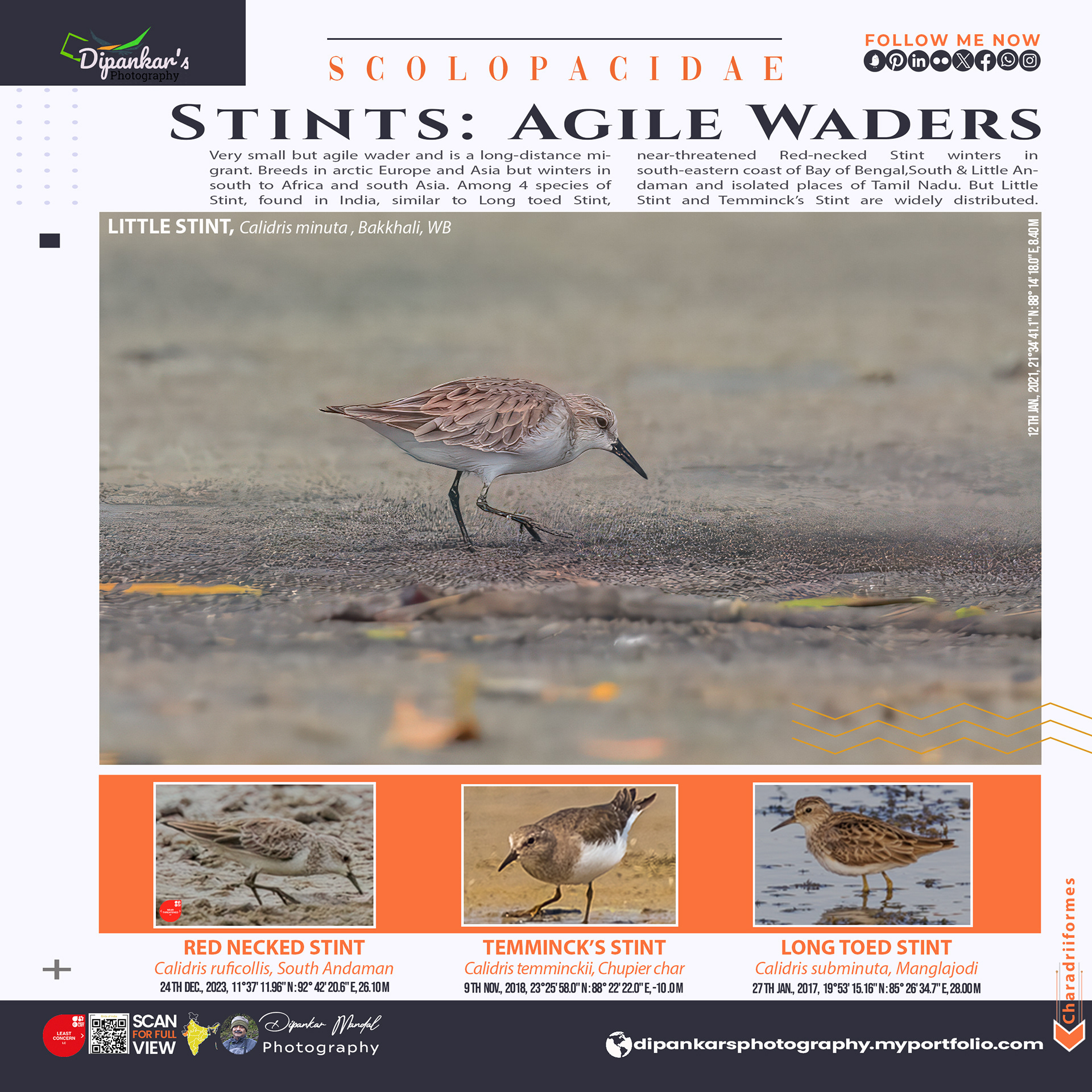 Stint