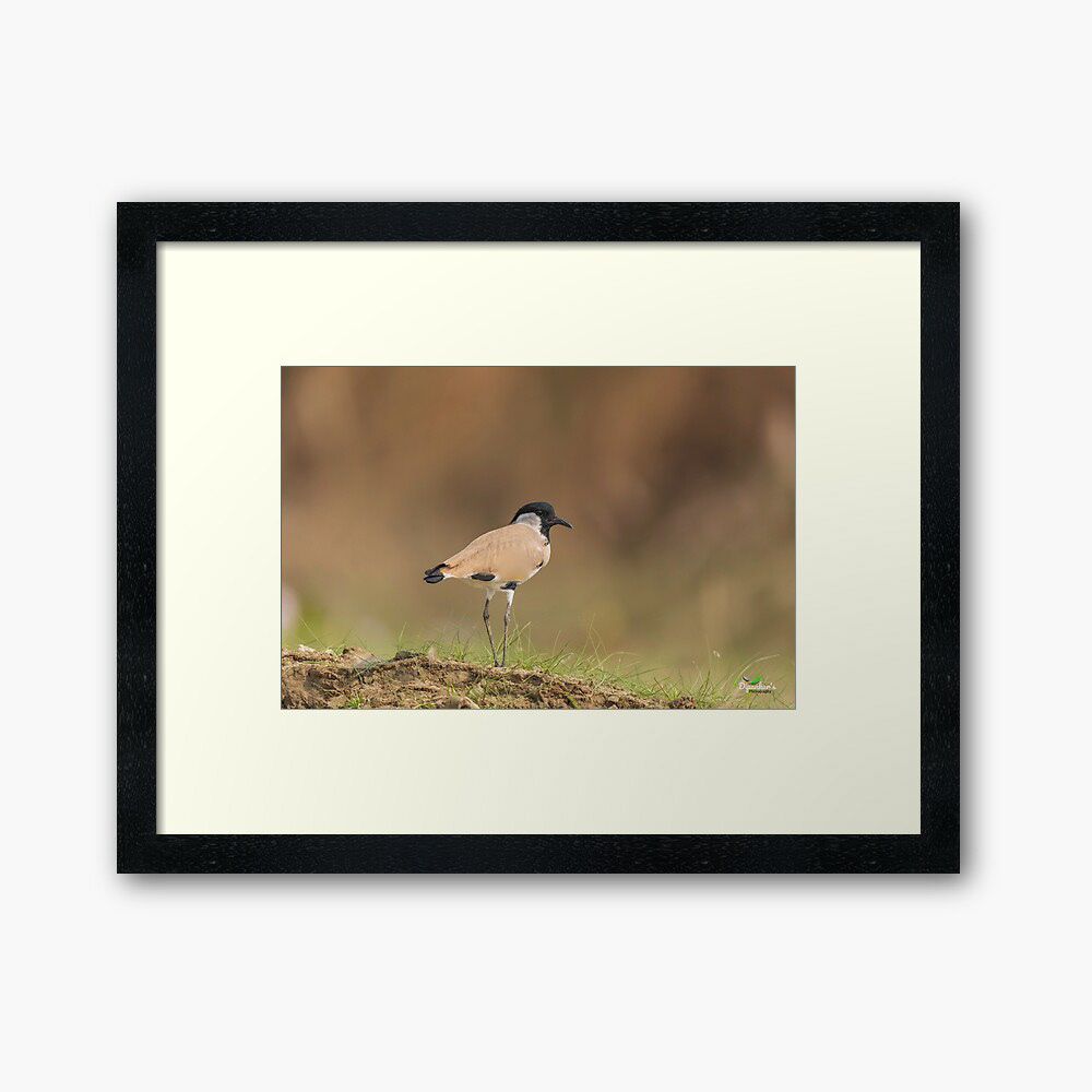 River bird at bank of Ganges Framed Art Print