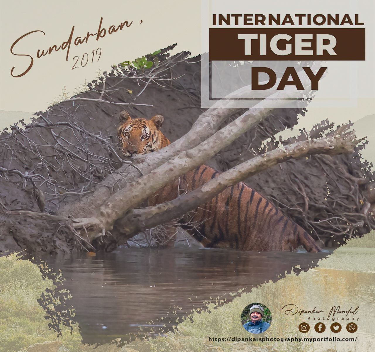 Royal Bengal Tiger