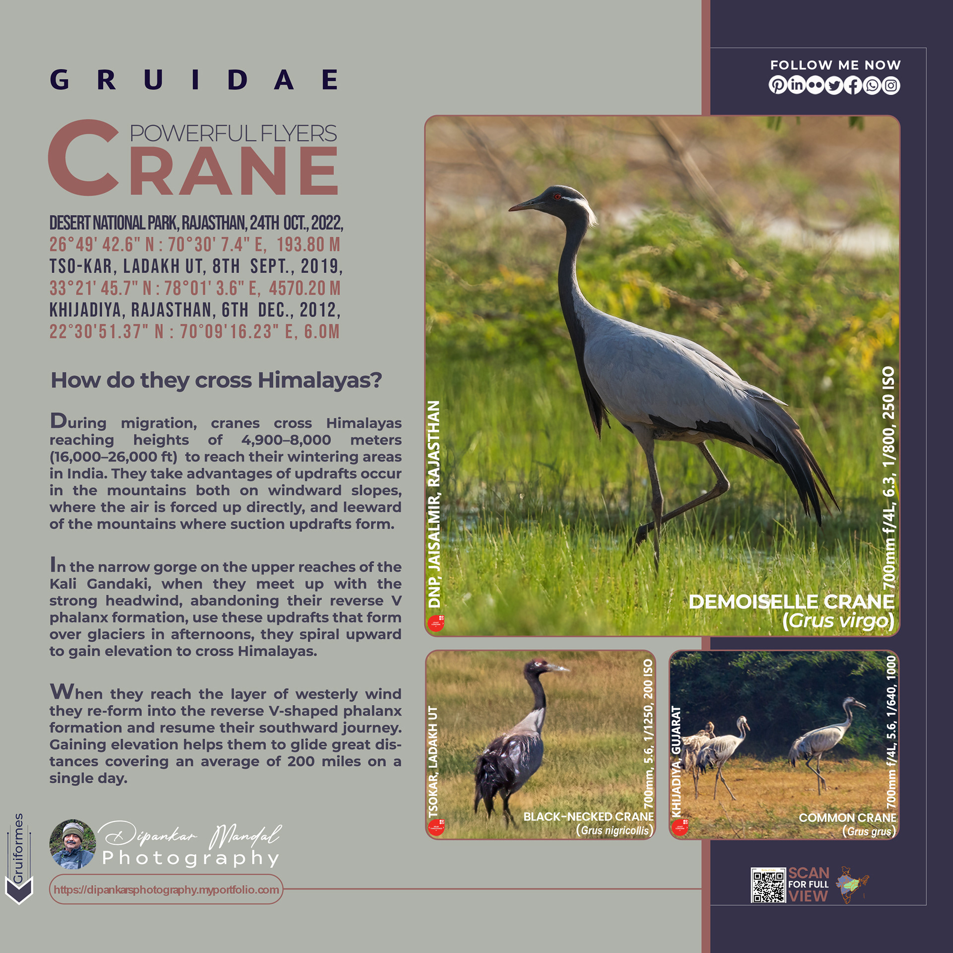Crane_01