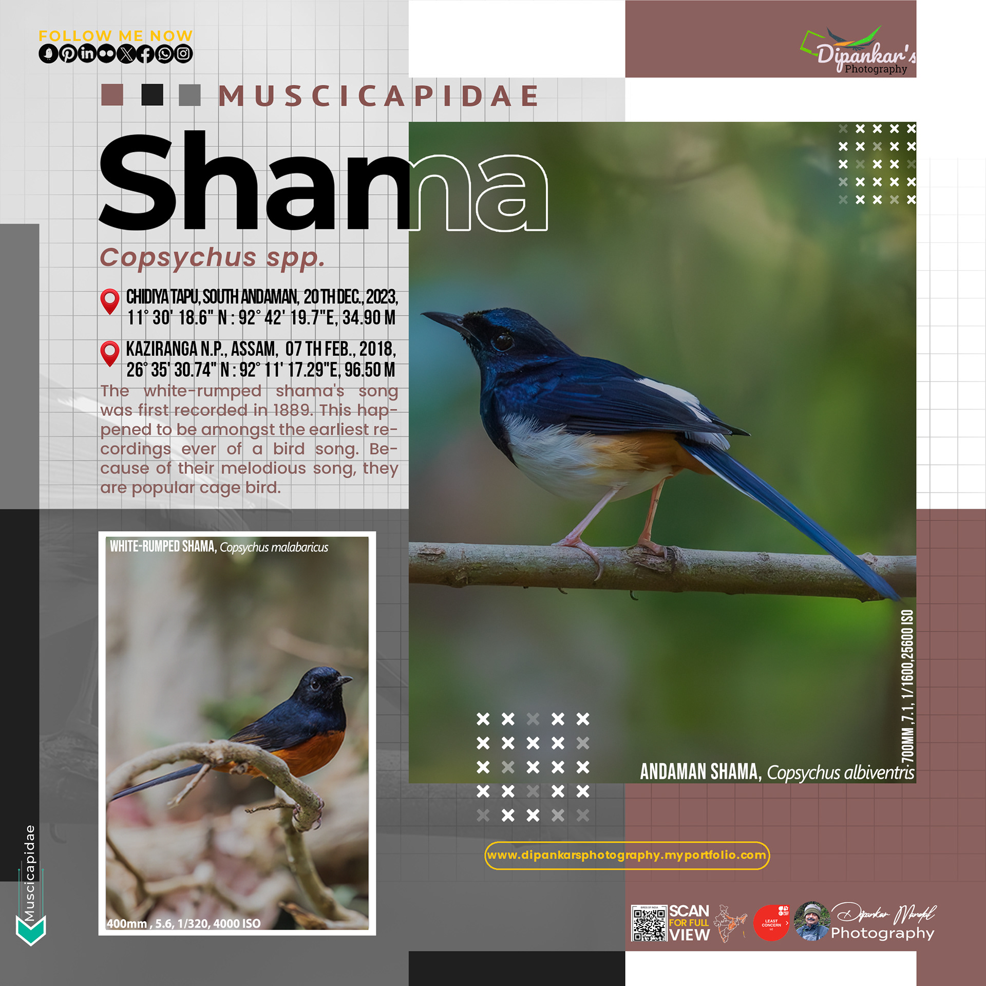 Shama
