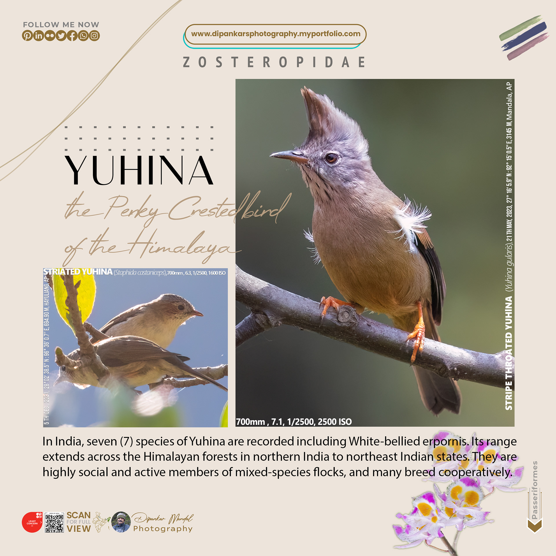 Yuhnia_02