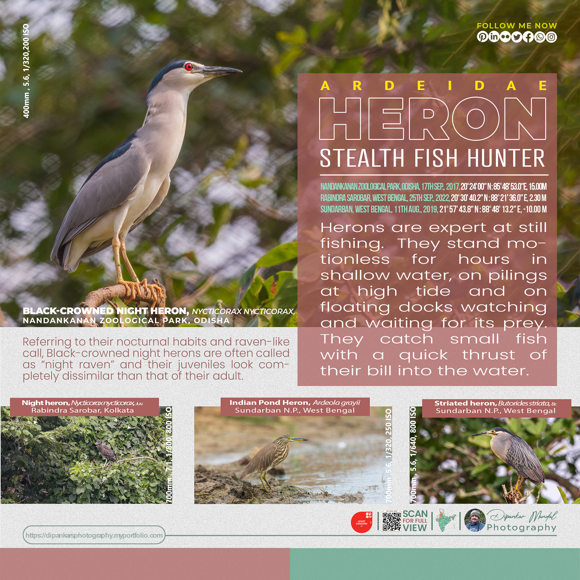 Heron_01
