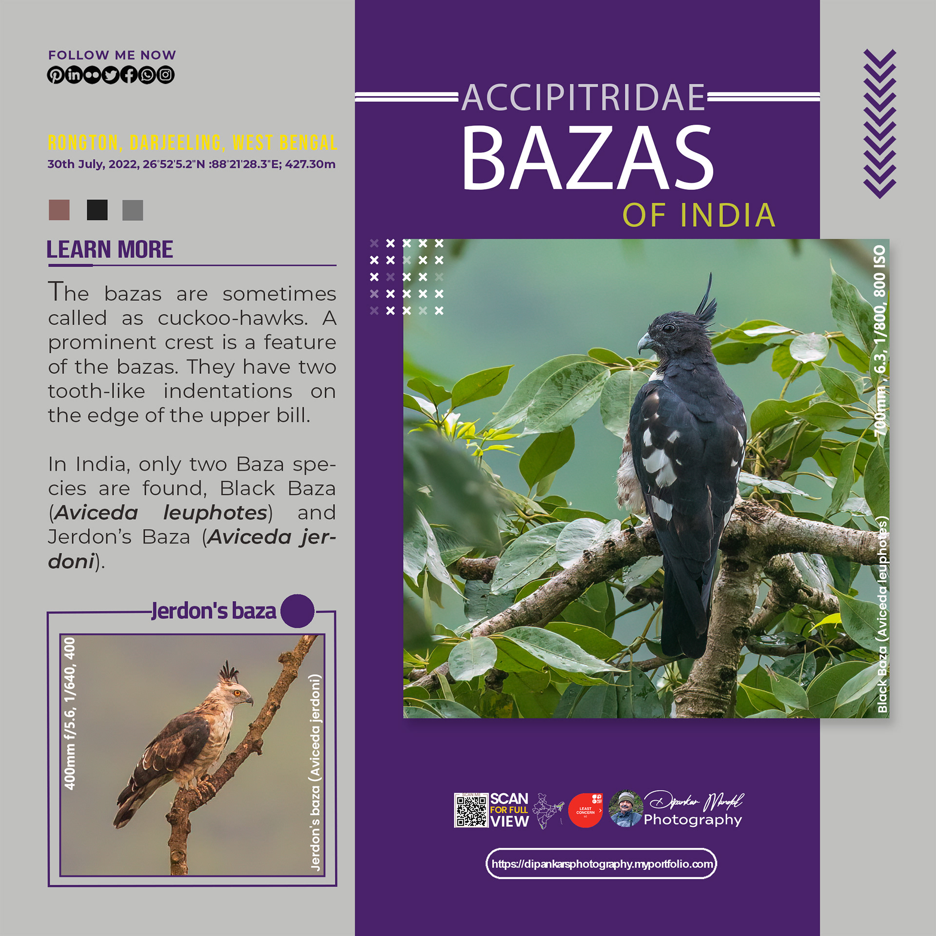 Bazas