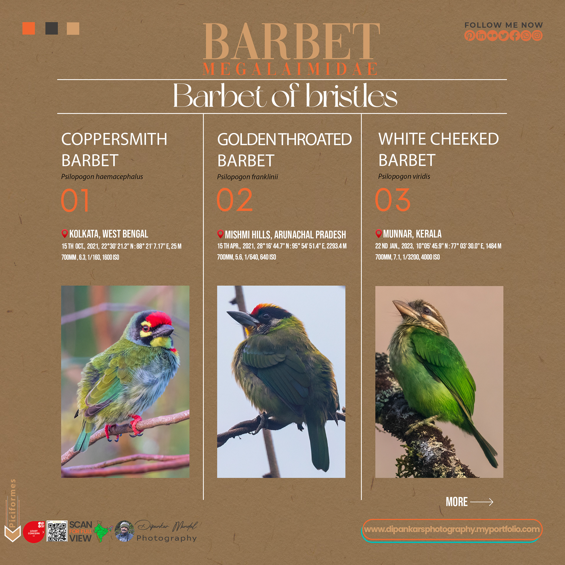 Barbets-02