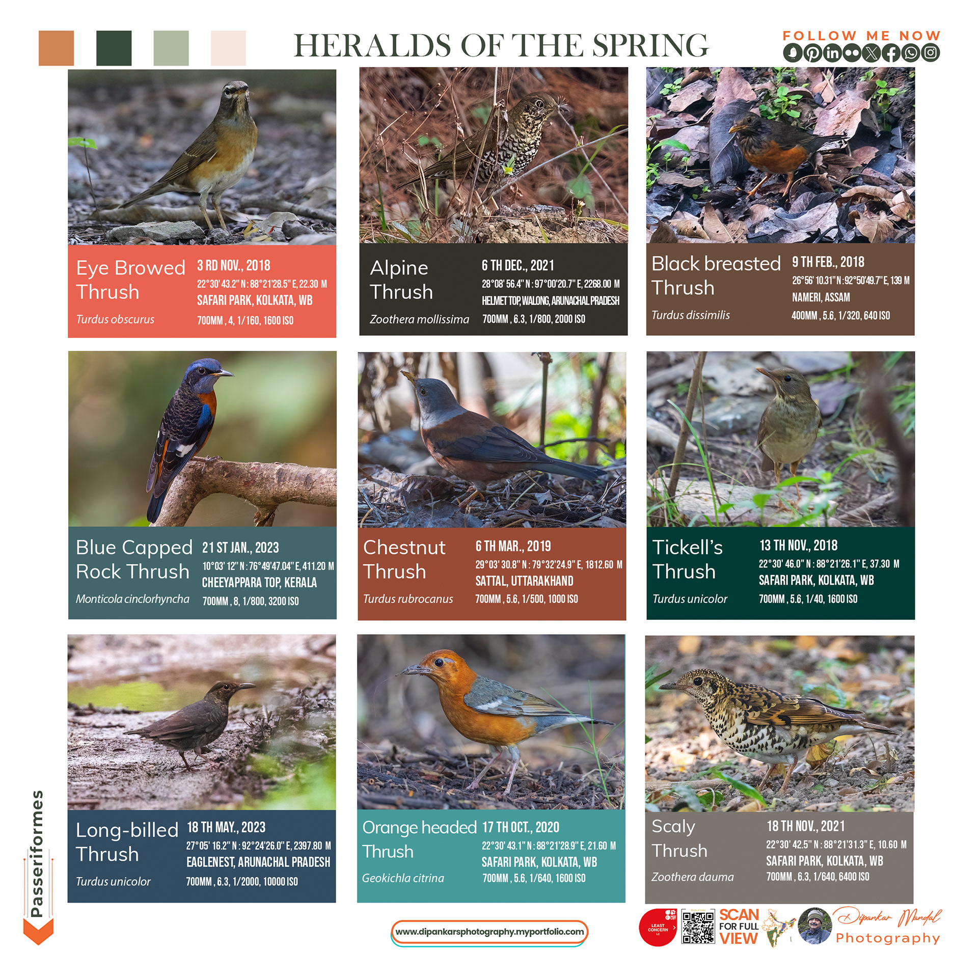 Thrush