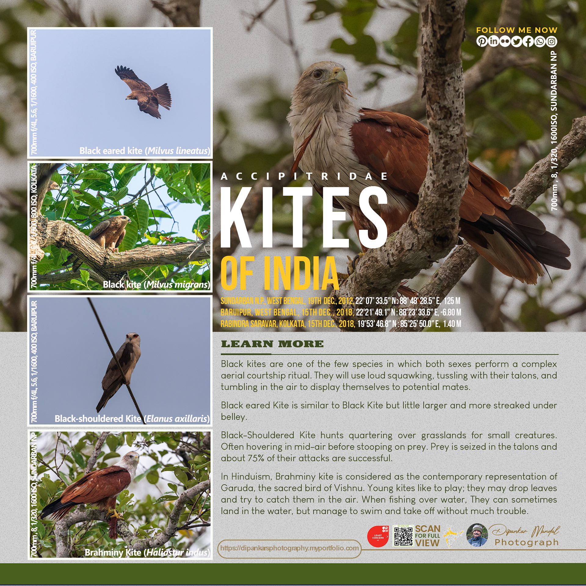 Kites