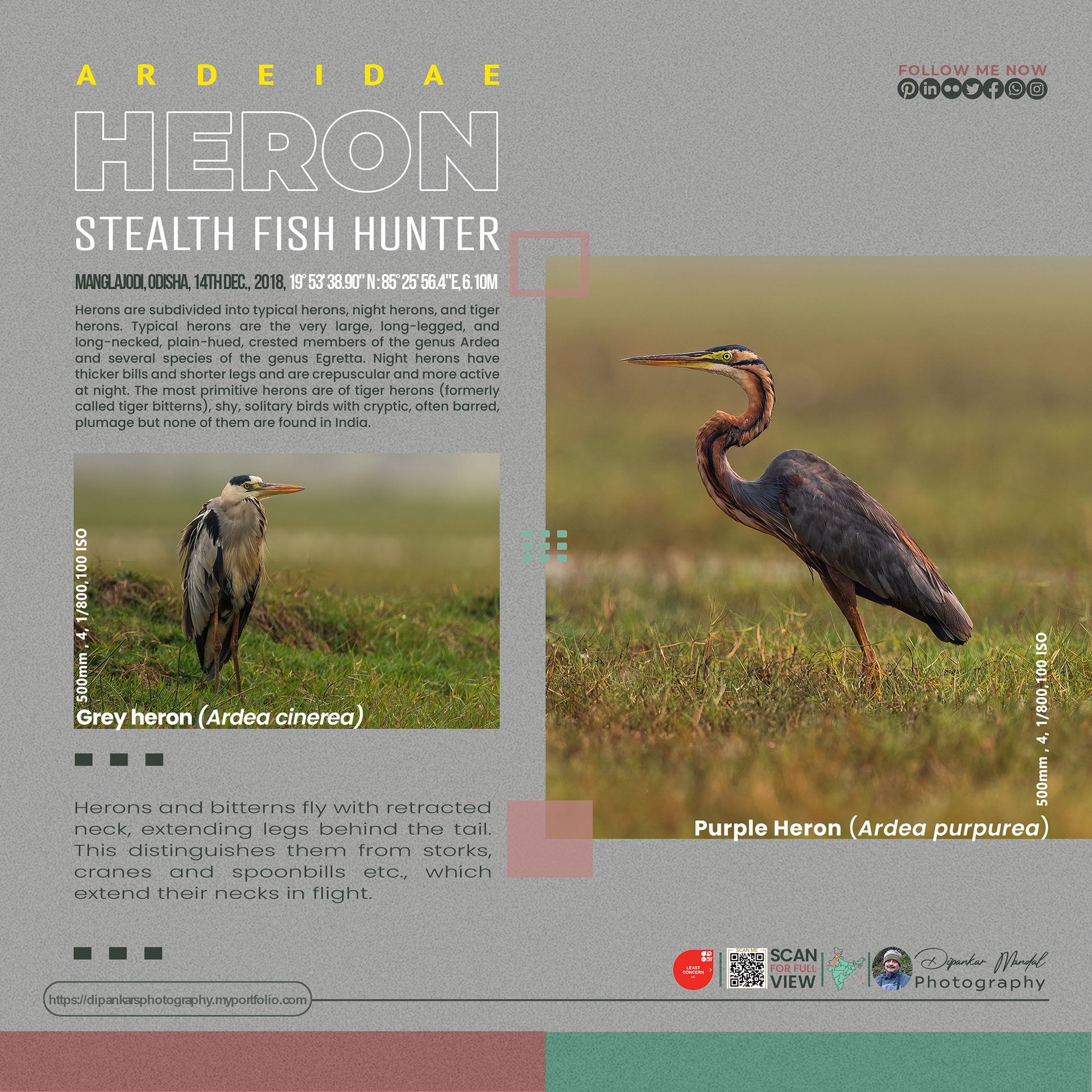 Heron_02