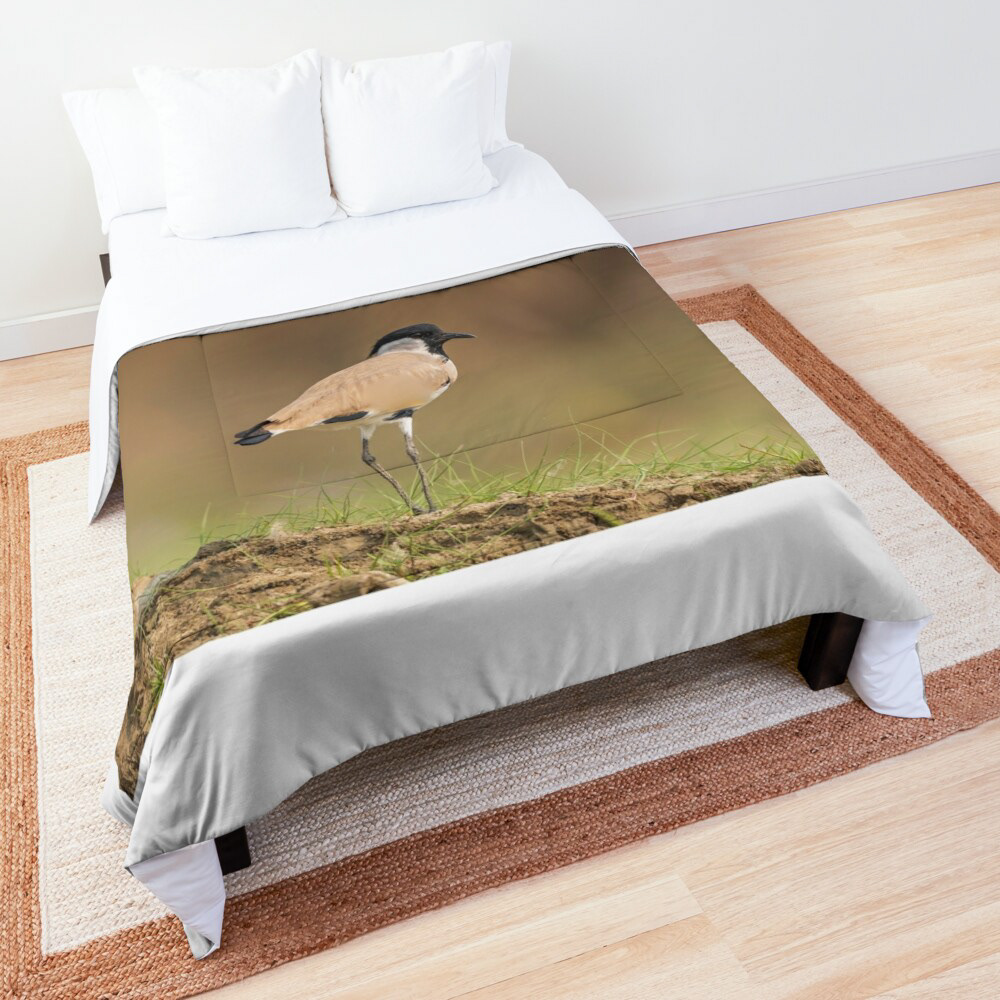 Comforter