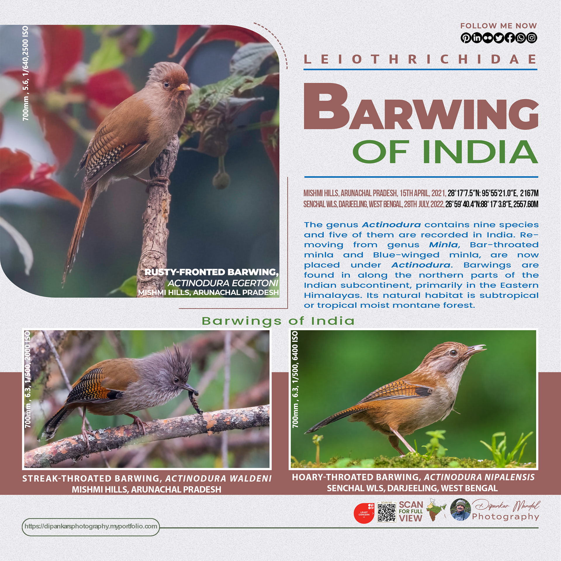 Barwing