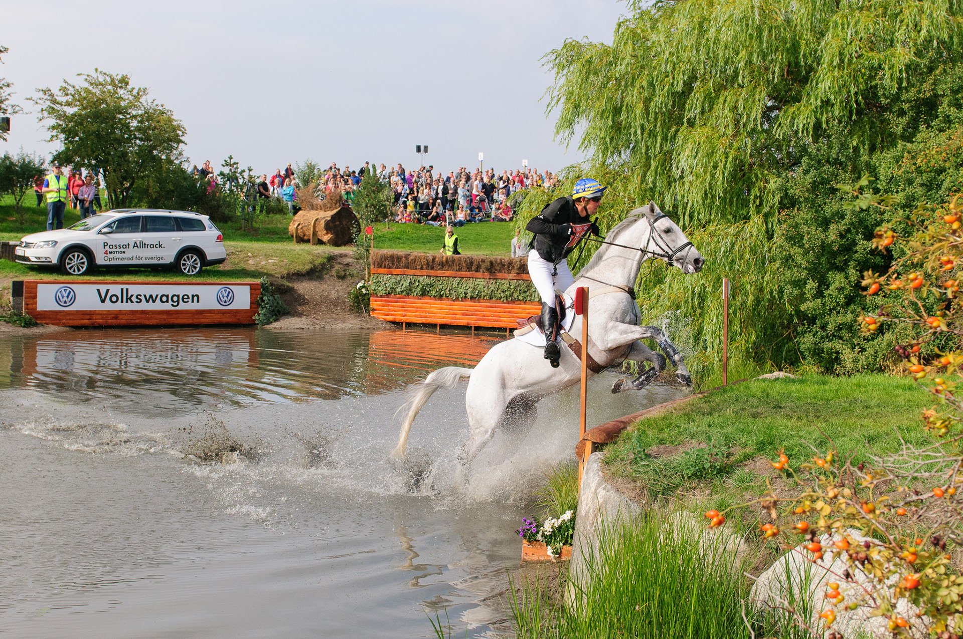  European championship eventing