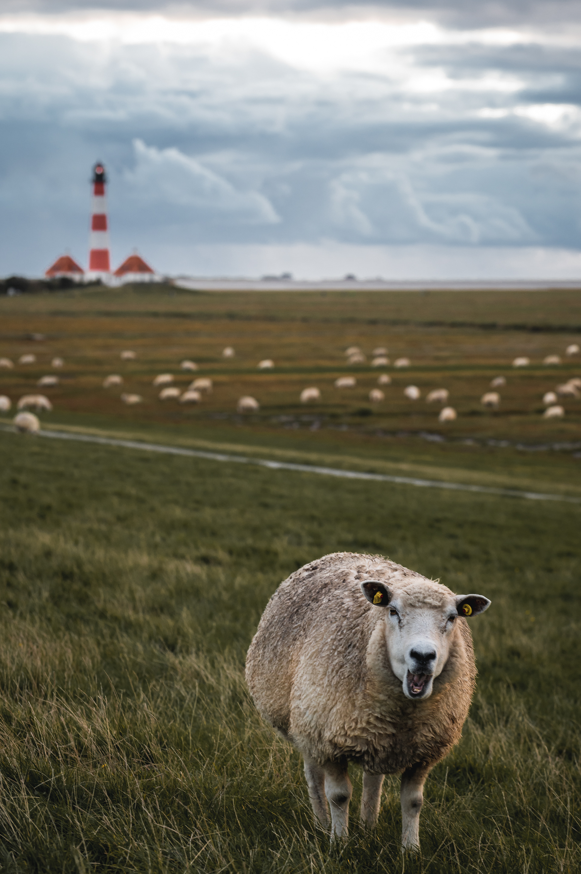 Westerhever, Germany