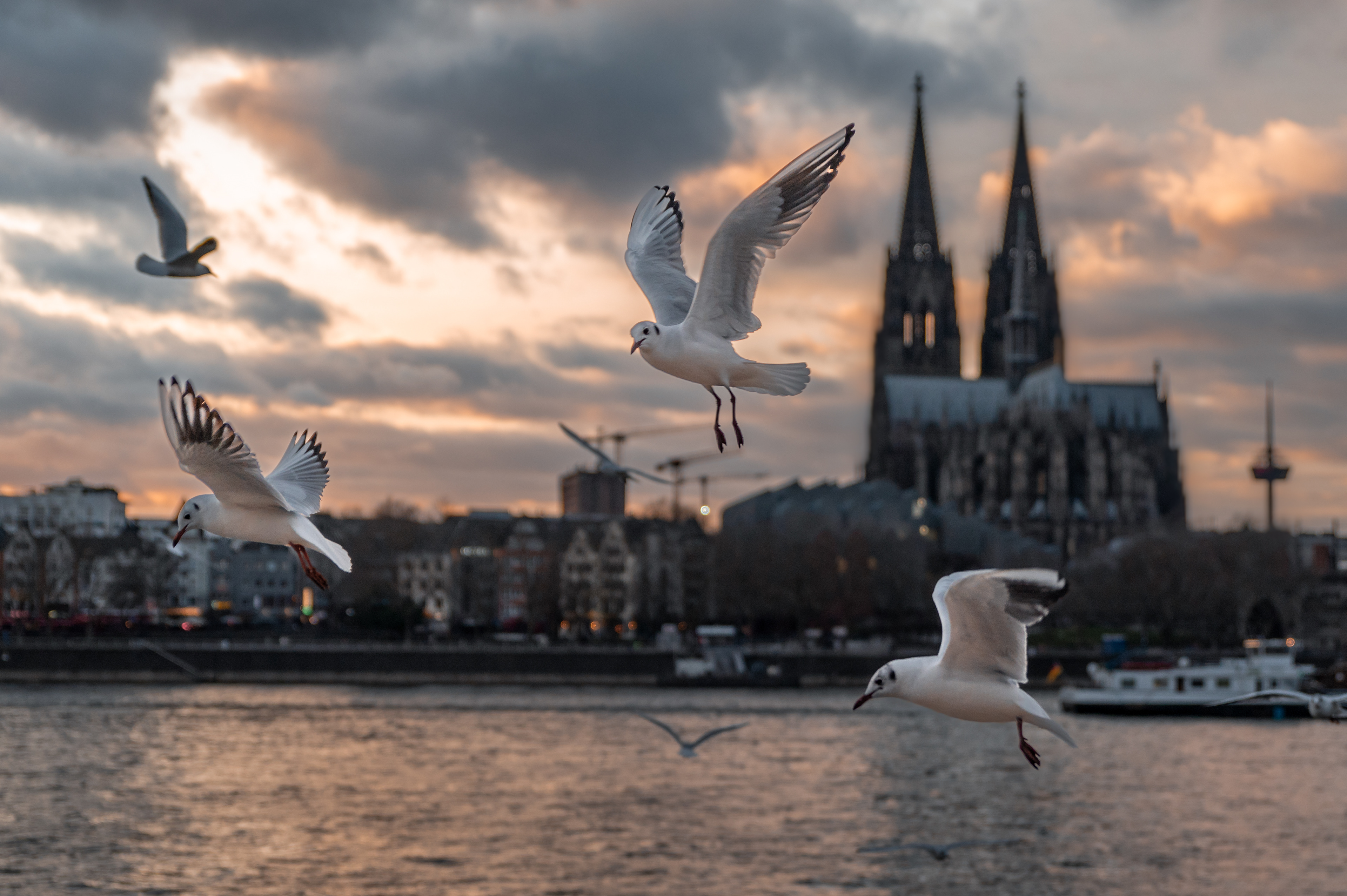 Cologne, Germany