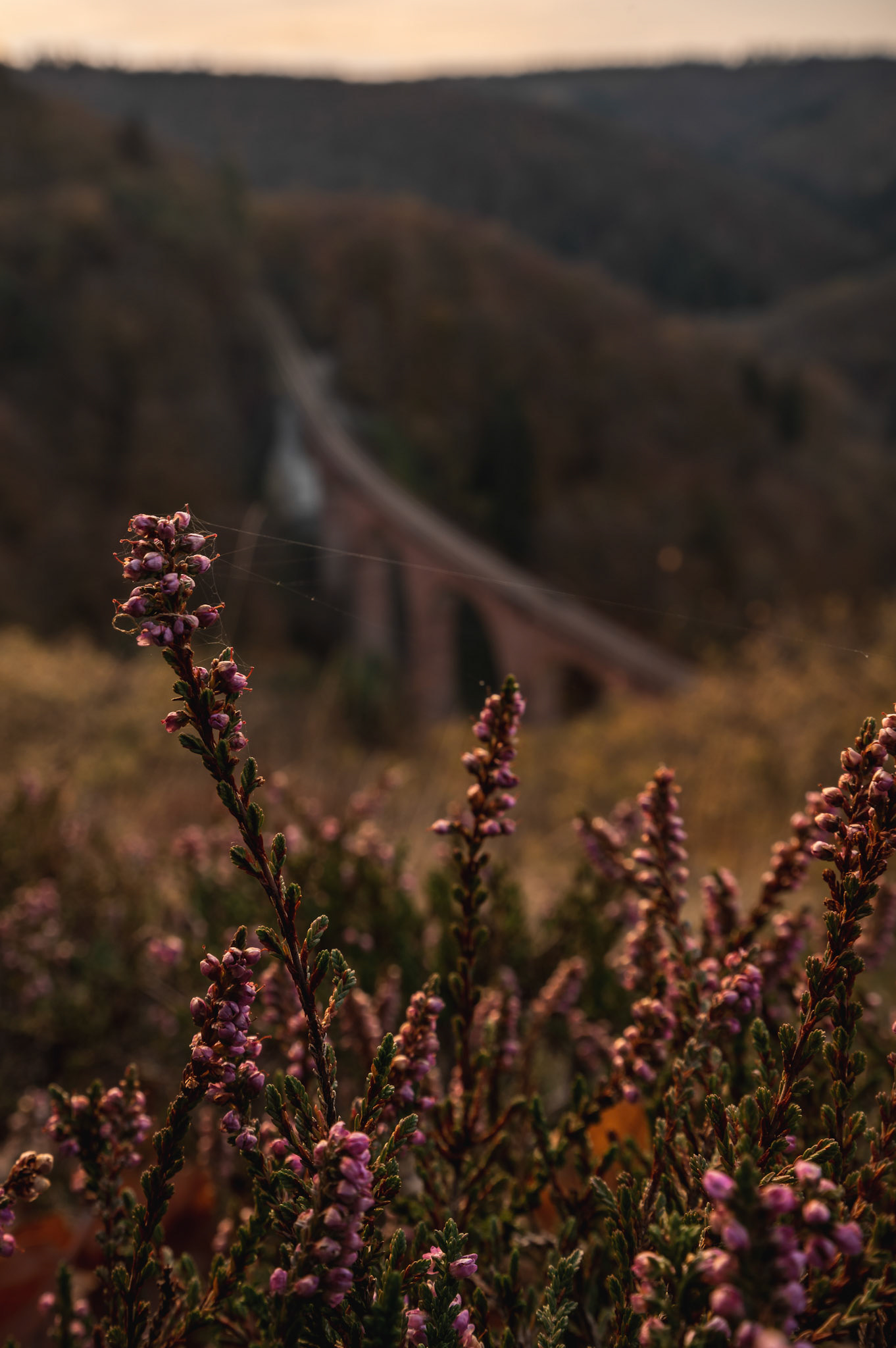 Hubertusviadukt, Germany