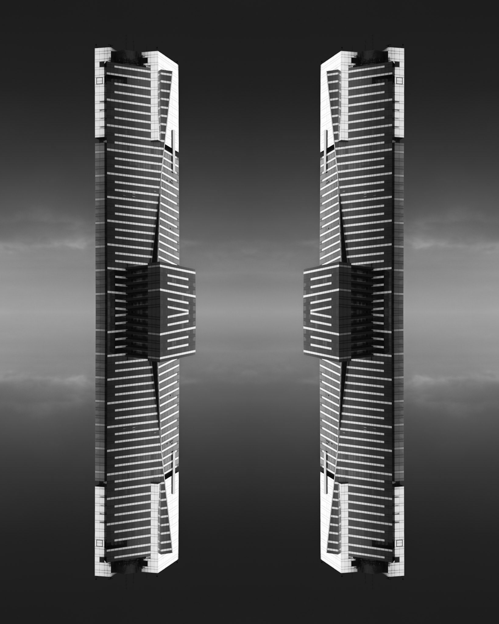 Tall Timber III