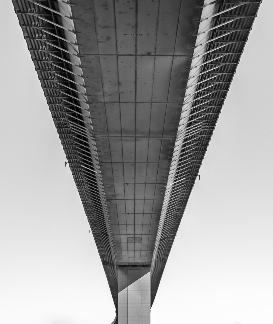 Underbelly I