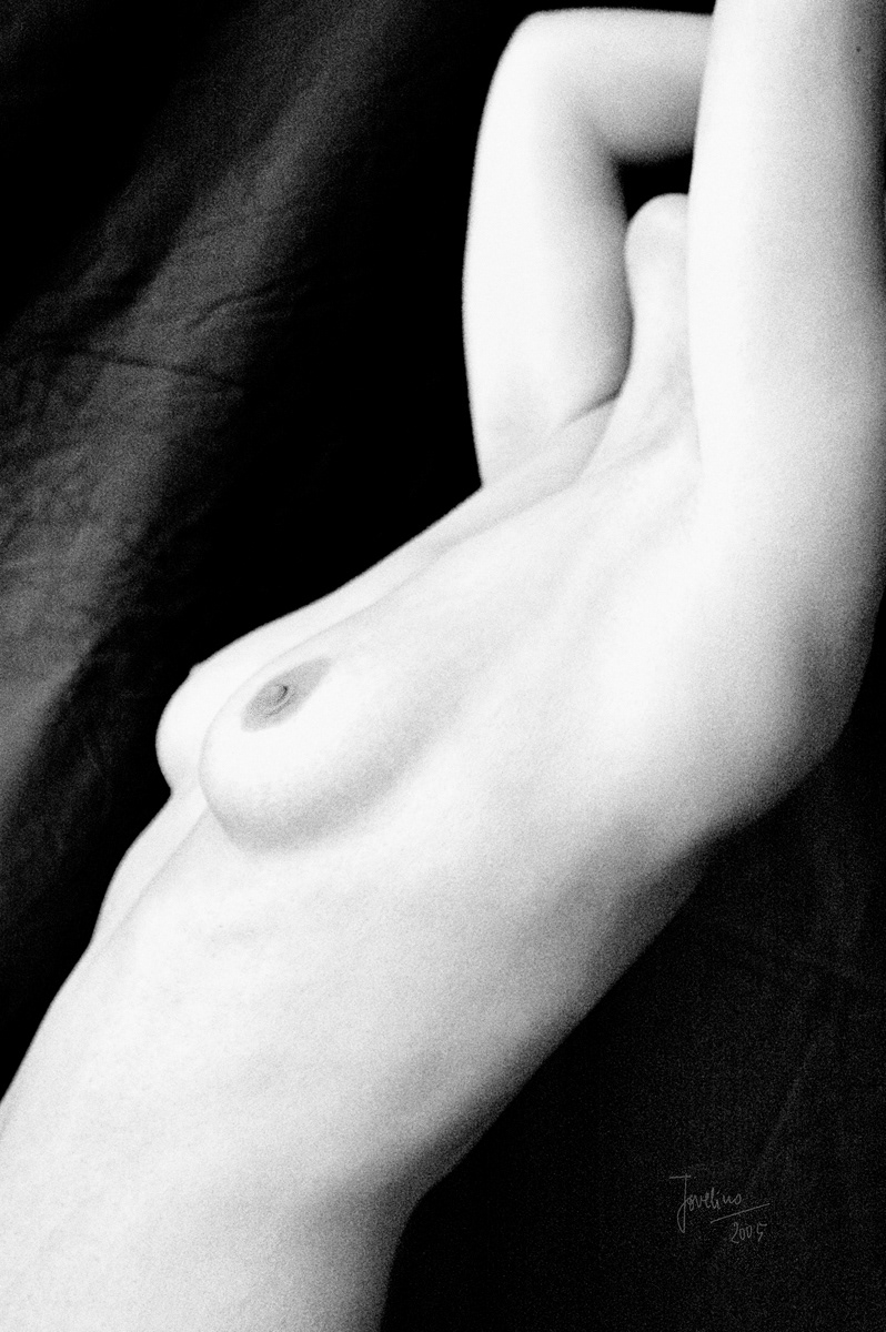 torso #