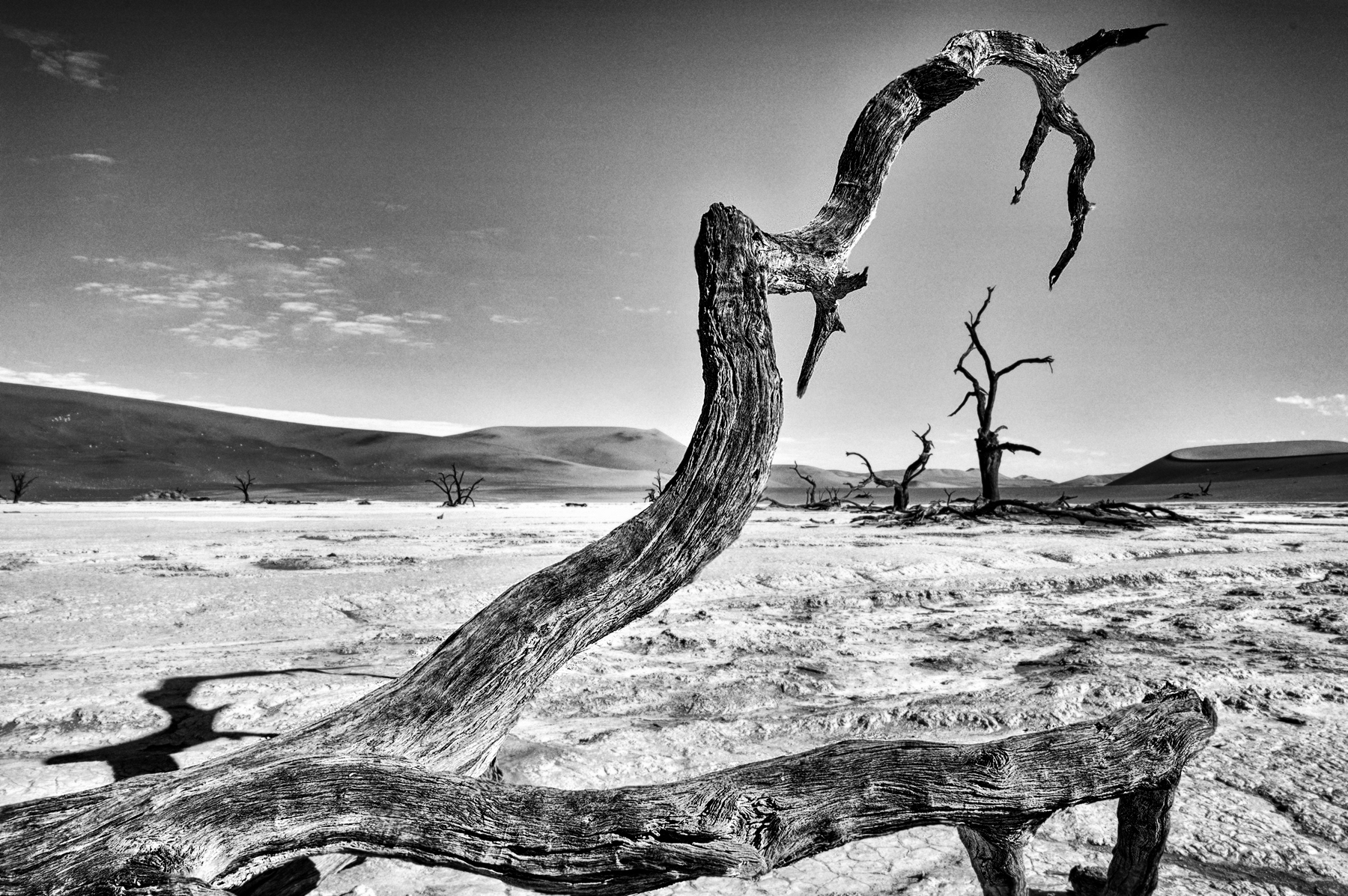 Deadvlei, Namibia