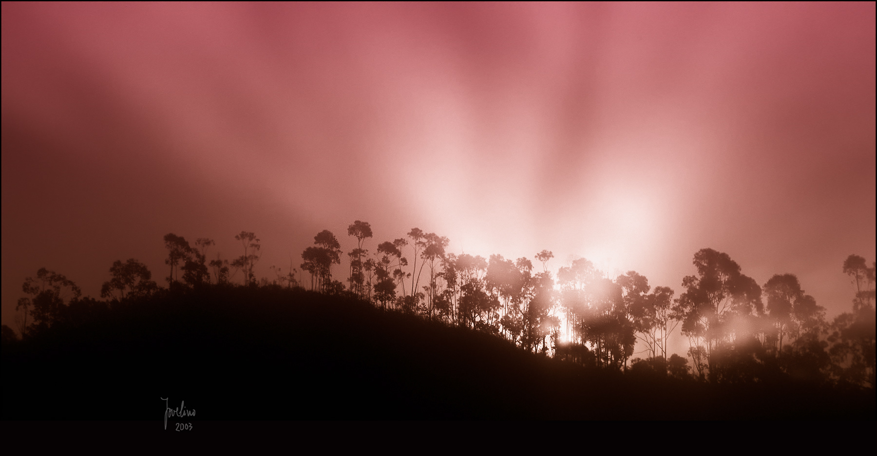 2013, Portugal : Medalha de OURO (gold) PSA no Concurso Internacional de Arte Fotog. Racal